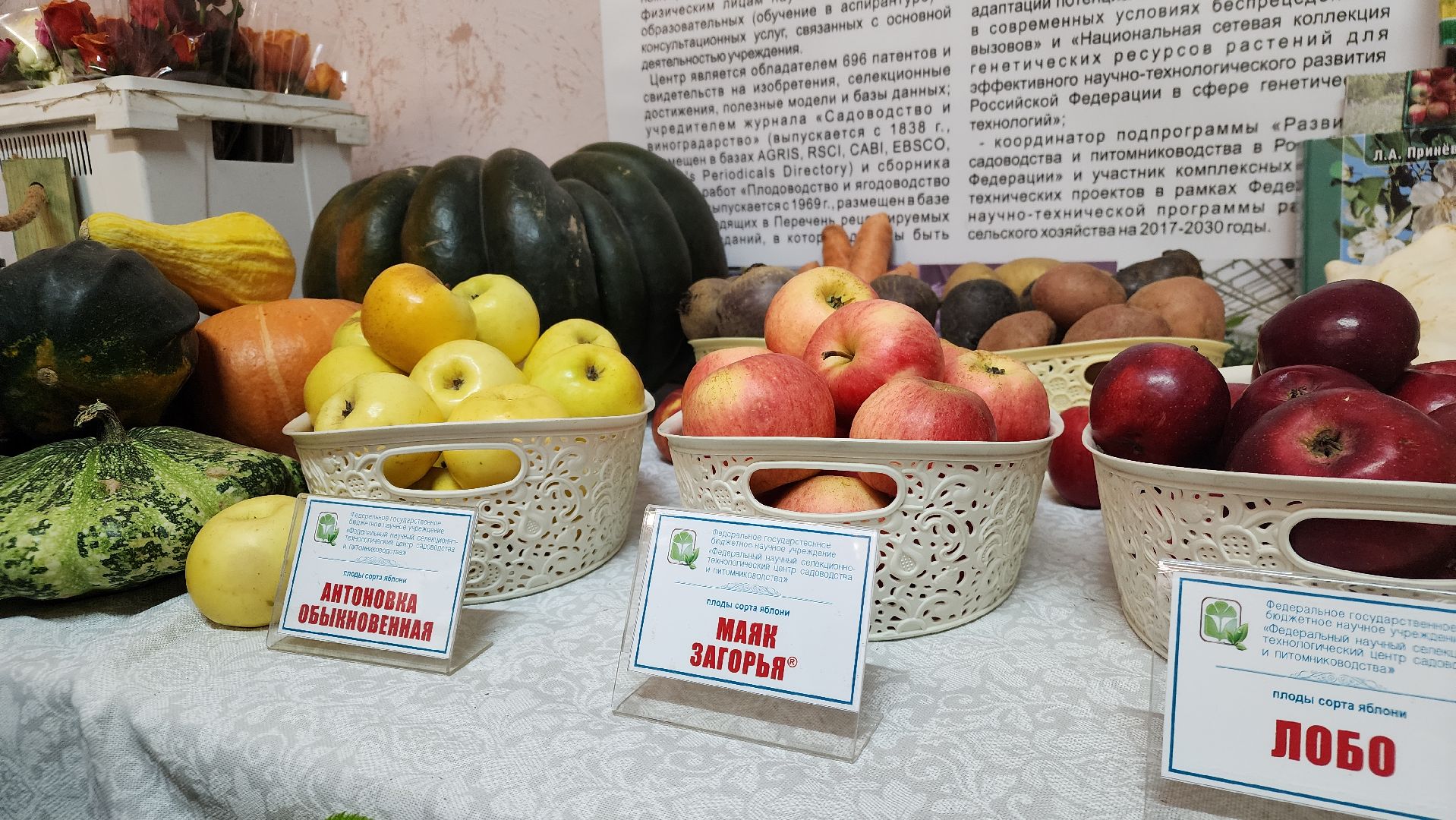 ступино, сельское хозяйство, сельское хозяйство подмосковья,