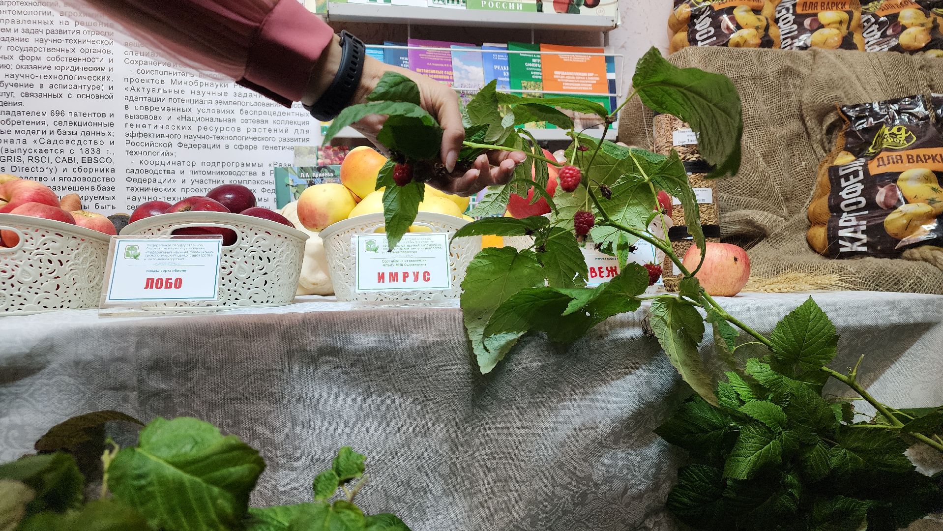 ступино, сельское хозяйство, сельское хозяйство подмосковья,