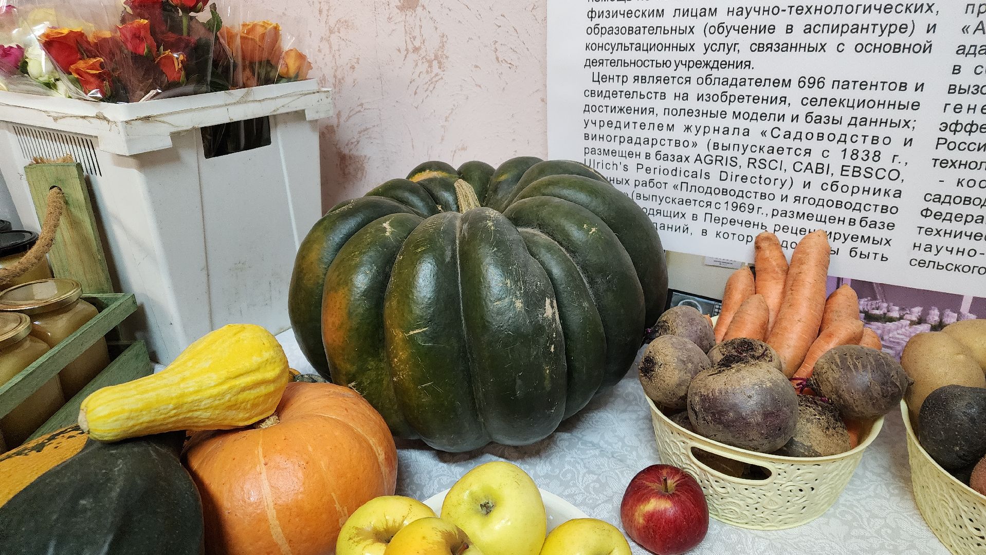 ступино, сельское хозяйство, сельское хозяйство подмосковья,