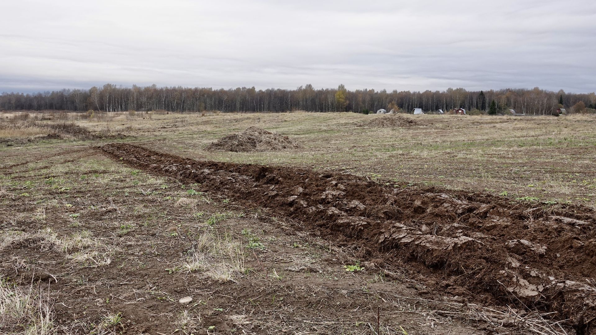 Сергиево-Посадский городской округ, Опашка, Безопаность, Противопожарные меры, МЧС,