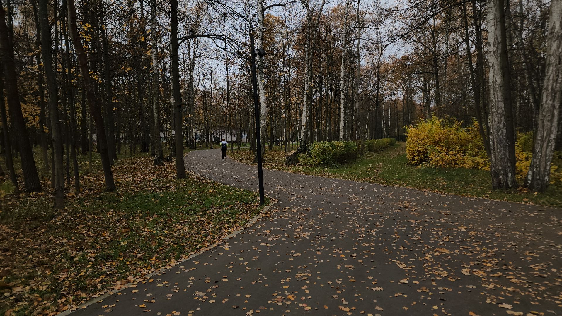 ступино, спорт в подмосковье, бег в подмосковье,