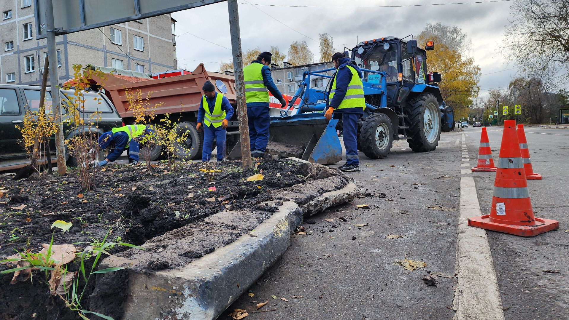 домодедово, подмоксовье, благоустройсво, Цветник, Клумба,
