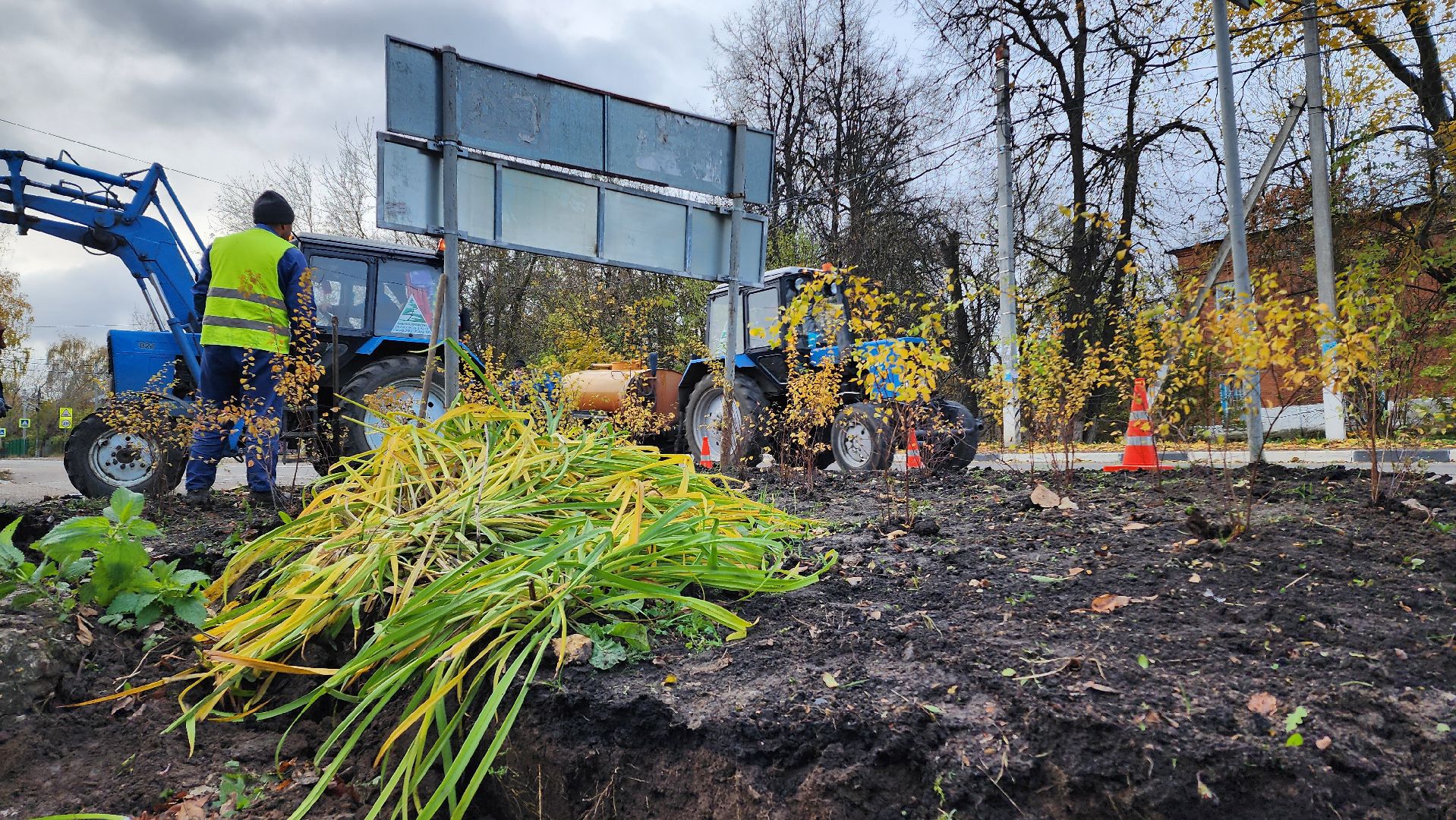 домодедово, подмоксовье, благоустройсво, Цветник, Клумба,