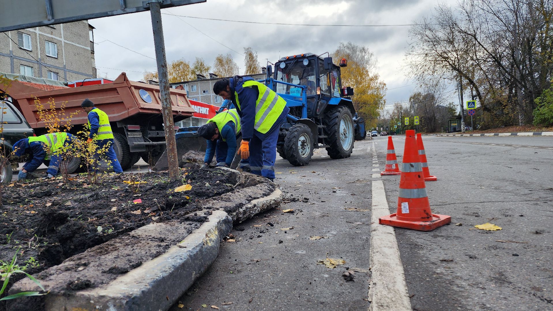 домодедово, подмоксовье, благоустройсво, Цветник, Клумба,
