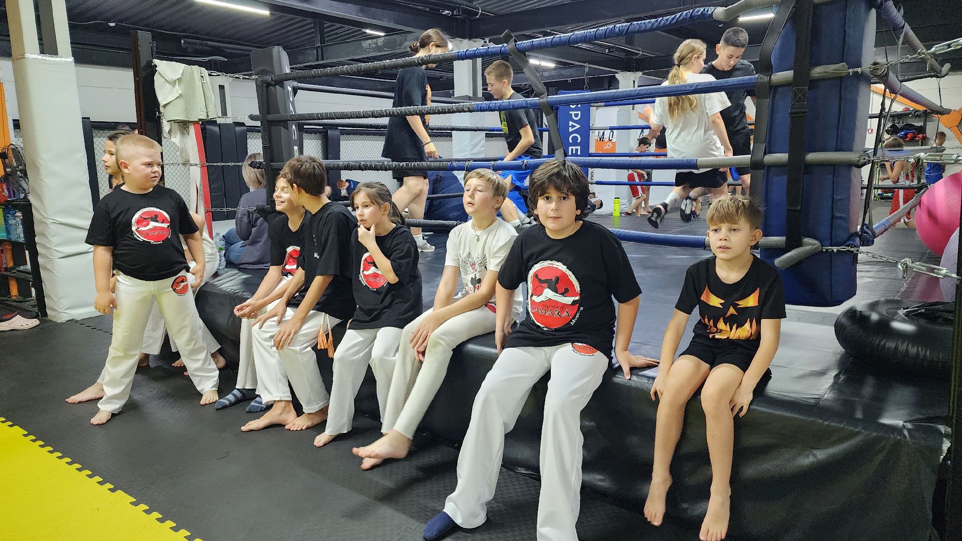 Подмосковье, Домодедово, День тренера, Спортвный клуб, Капоэйра, Зеленый пояс,