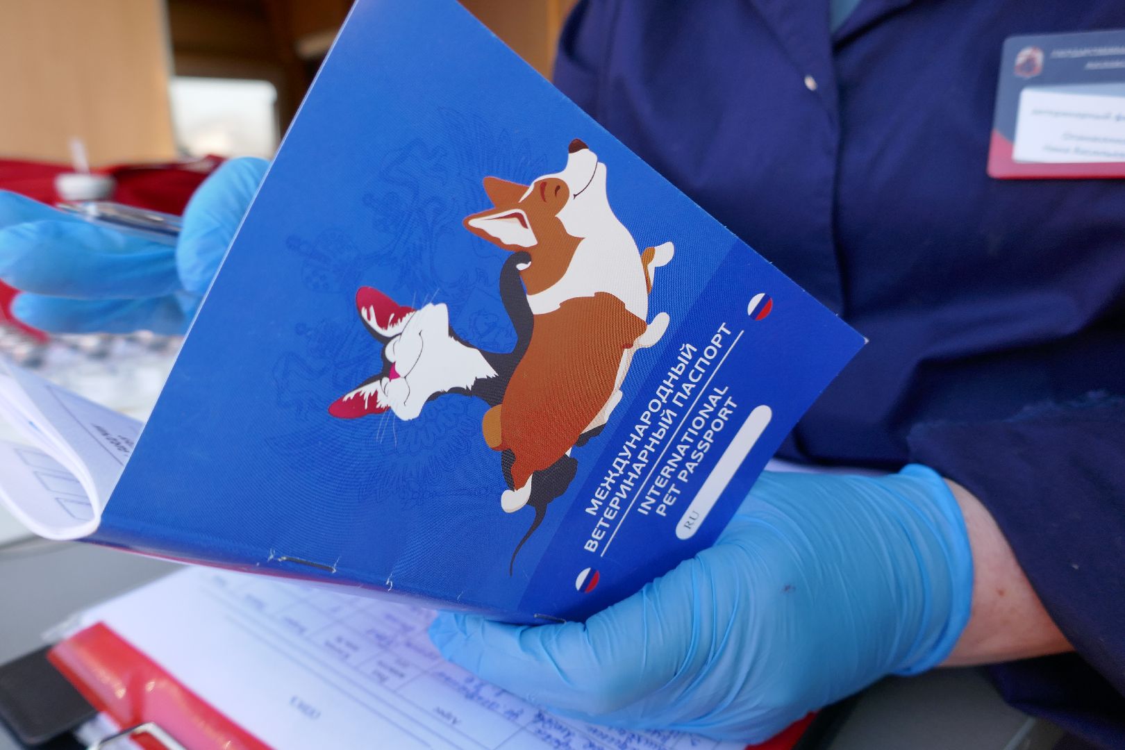 Подольск, вакцинация от бешенства, профилактика, ветеринары