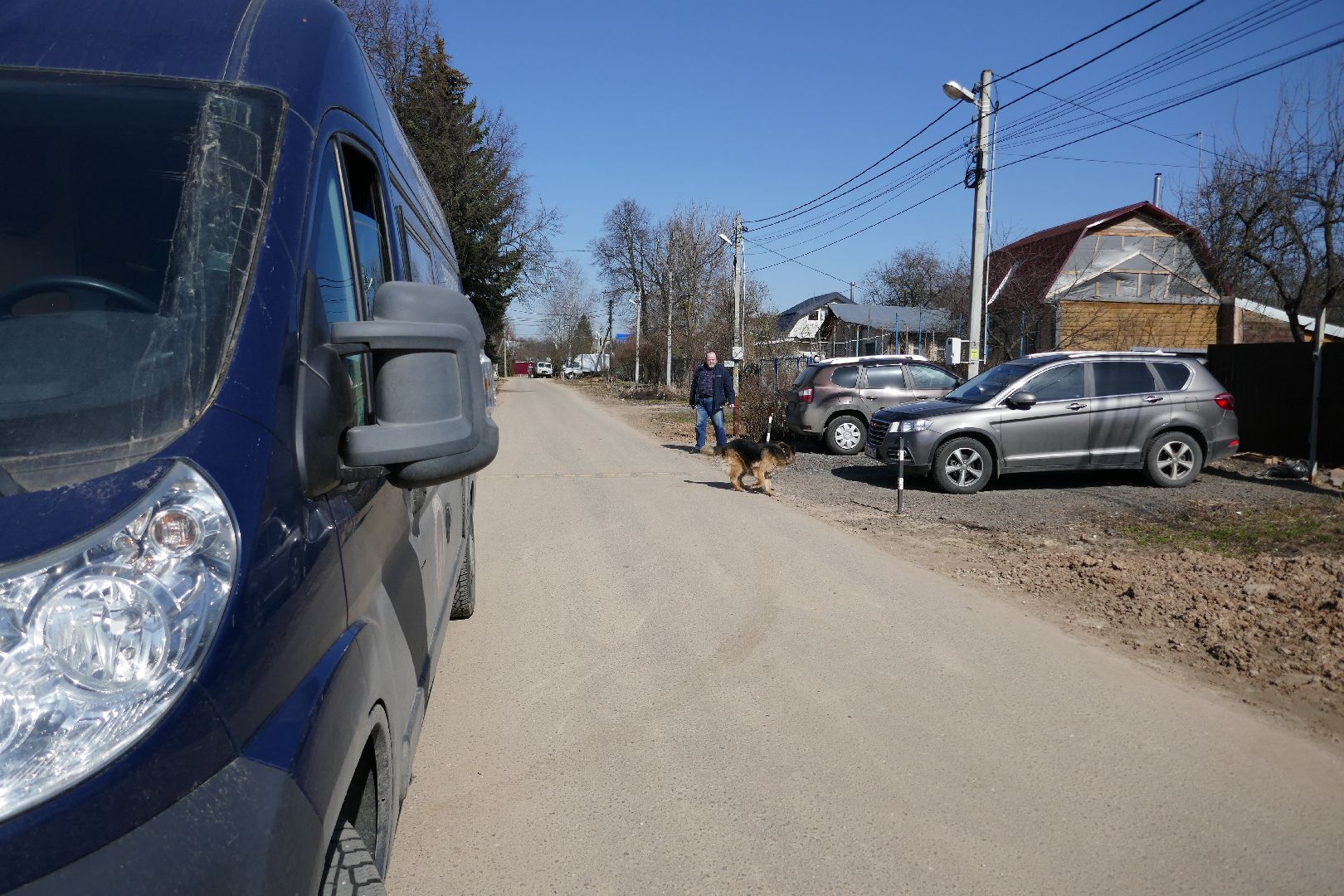 Подольск, вакцинация от бешенства, профилактика, ветеринары