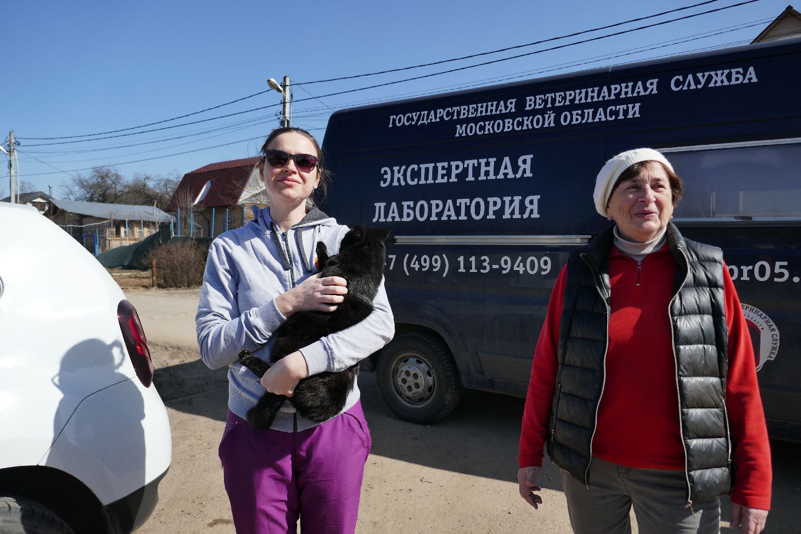 Подольск, вакцинация от бешенства, профилактика, ветеринары