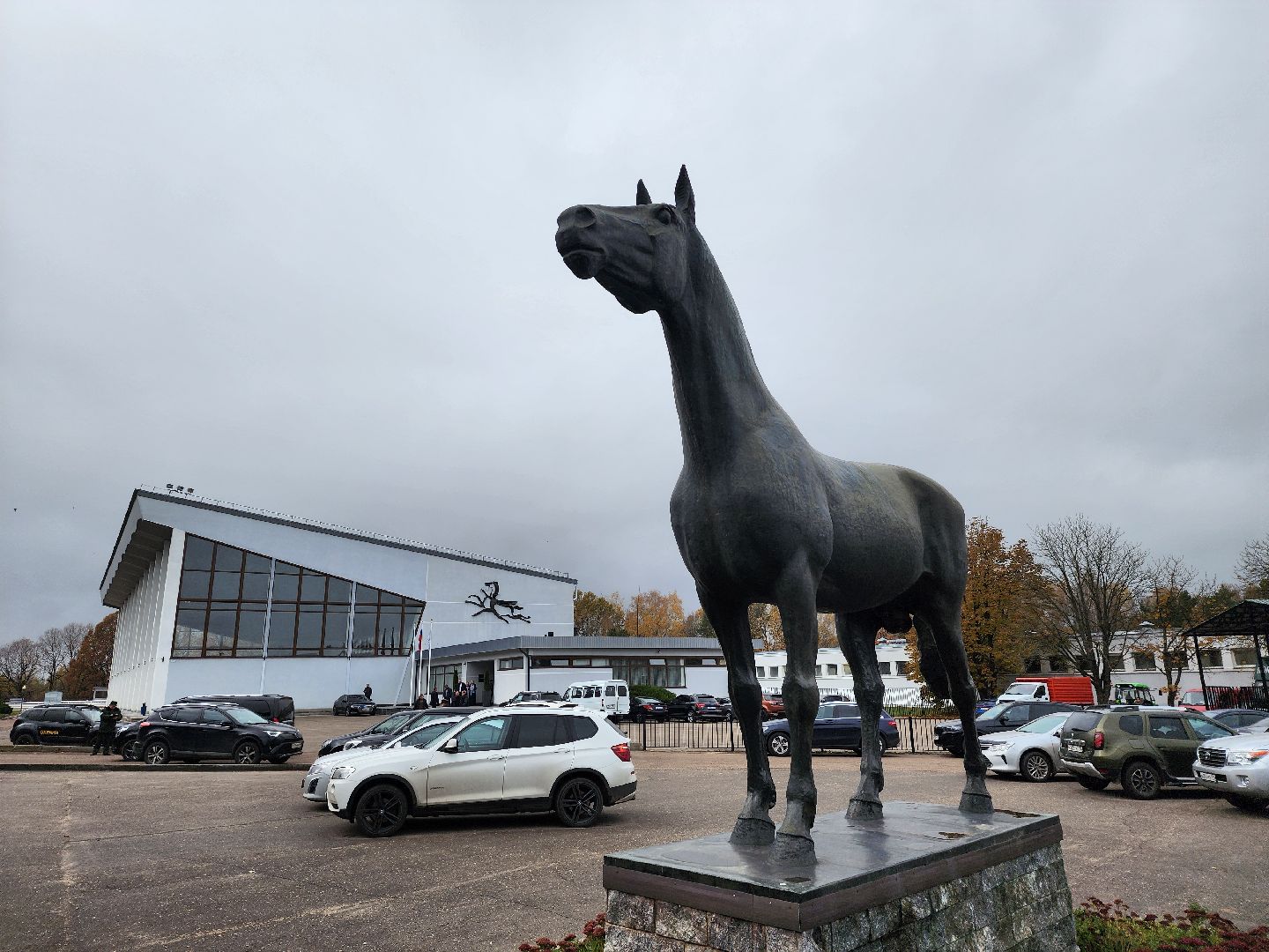 одинцово, кони, лошади, конезавод, орловские рысаки,