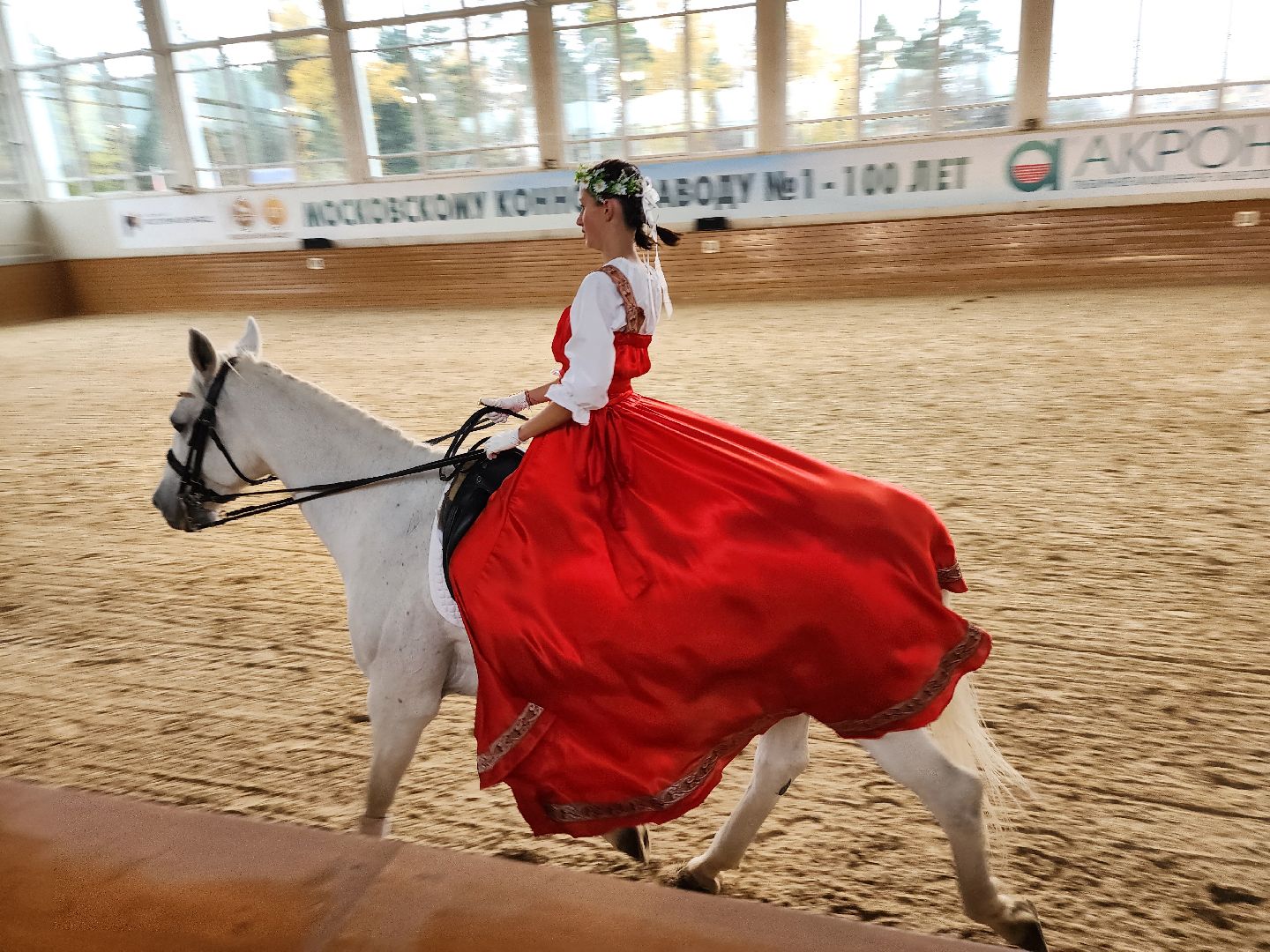 одинцово, кони, лошади, конезавод, орловские рысаки,