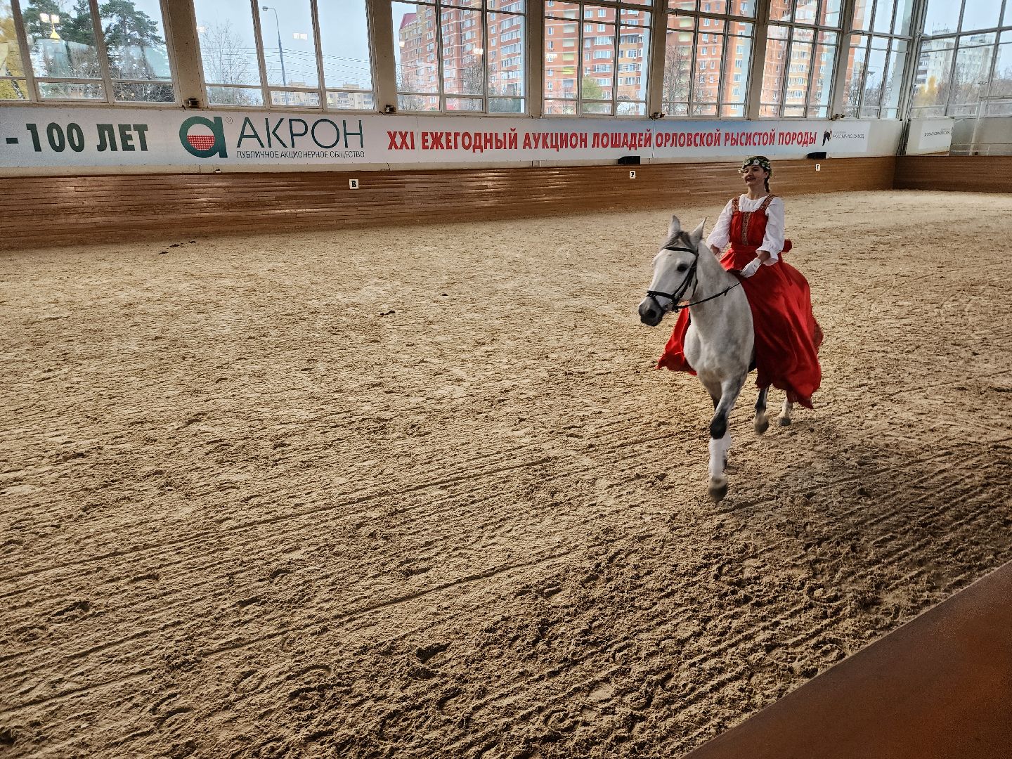 одинцово, кони, лошади, конезавод, орловские рысаки,