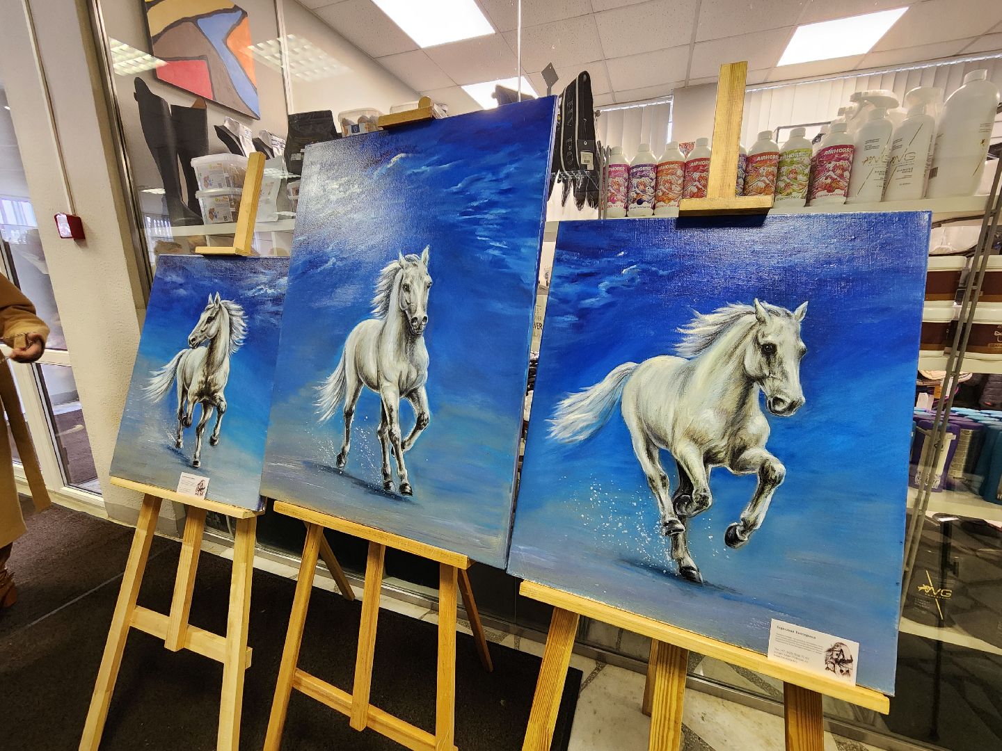 одинцово, кони, лошади, конезавод, орловские рысаки,