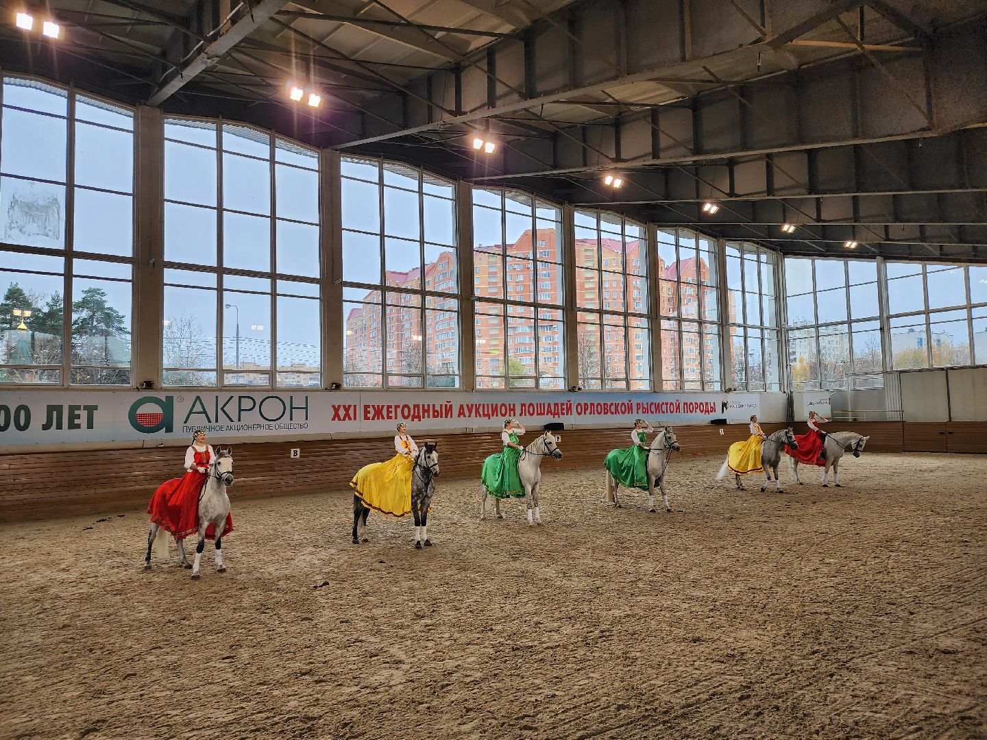 одинцово, кони, лошади, конезавод, орловские рысаки,