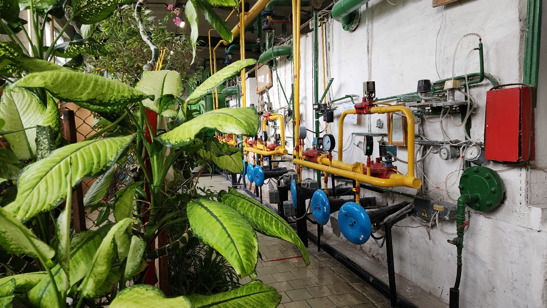 кашира, котельная, отопление, горячая вода,