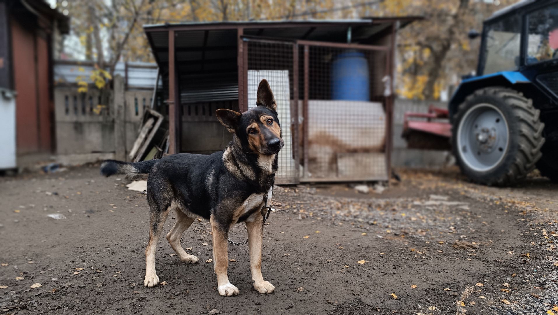 уборочная техника, лобня, благоустройство,