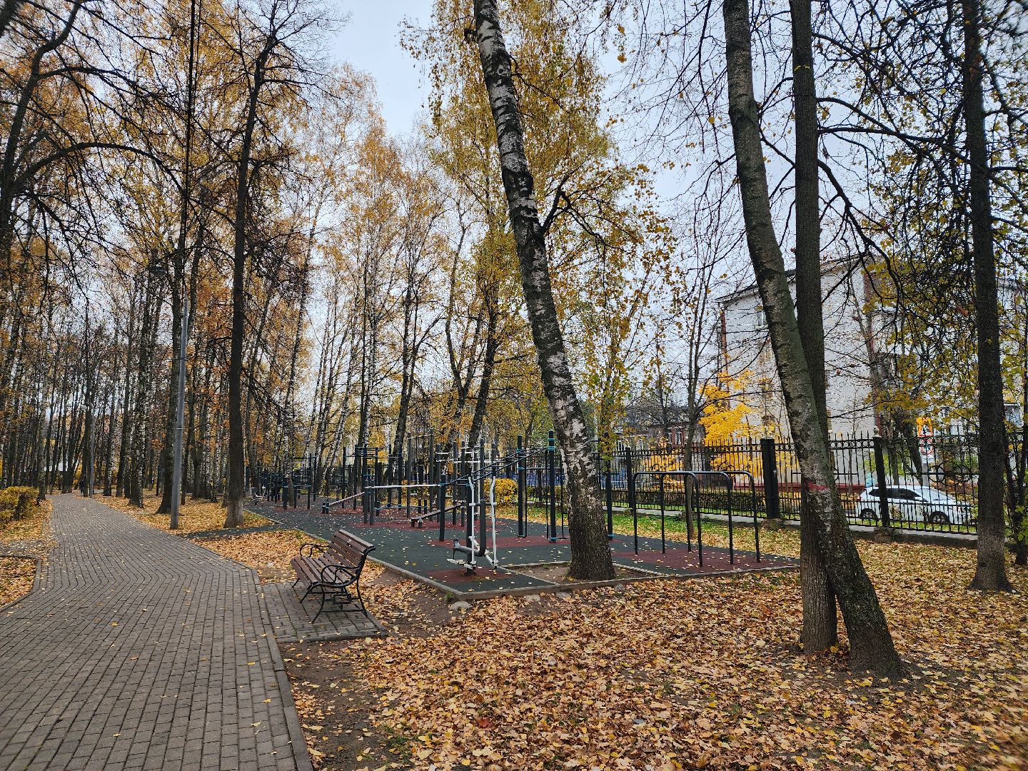 королёв, центральный парк, подготовка к зиме,