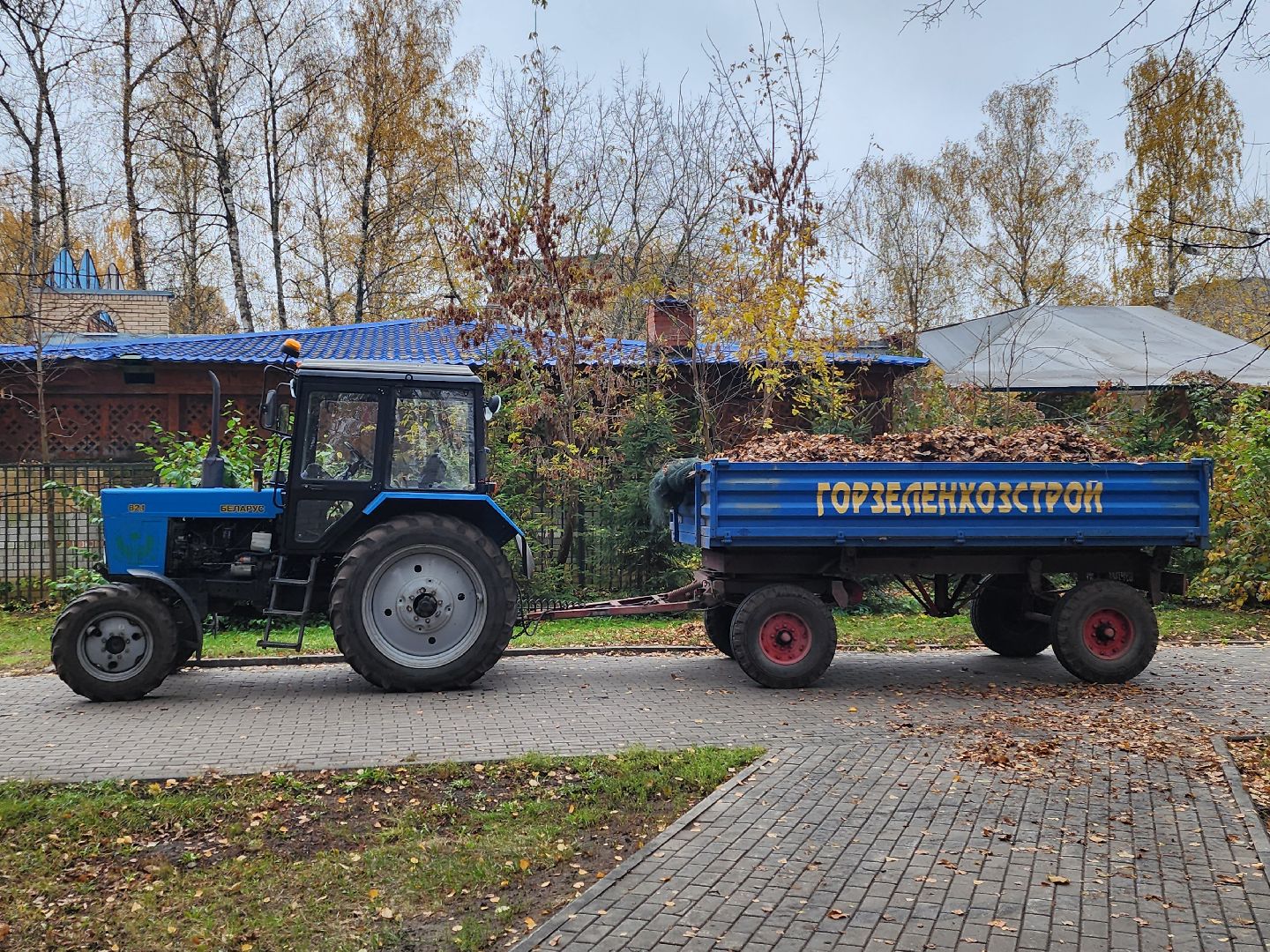 королёв, центральный парк, подготовка к зиме,