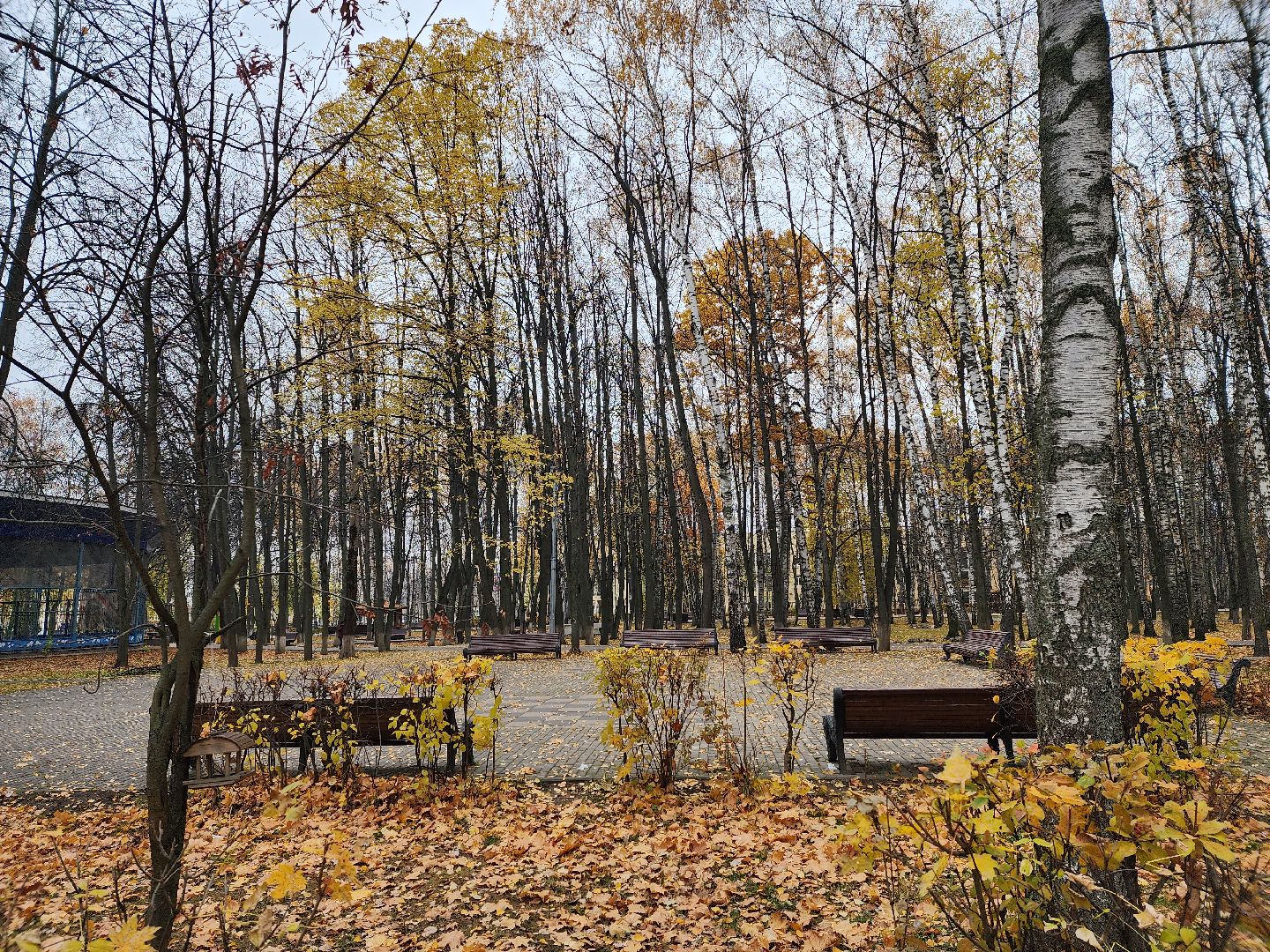 королёв, центральный парк, подготовка к зиме,