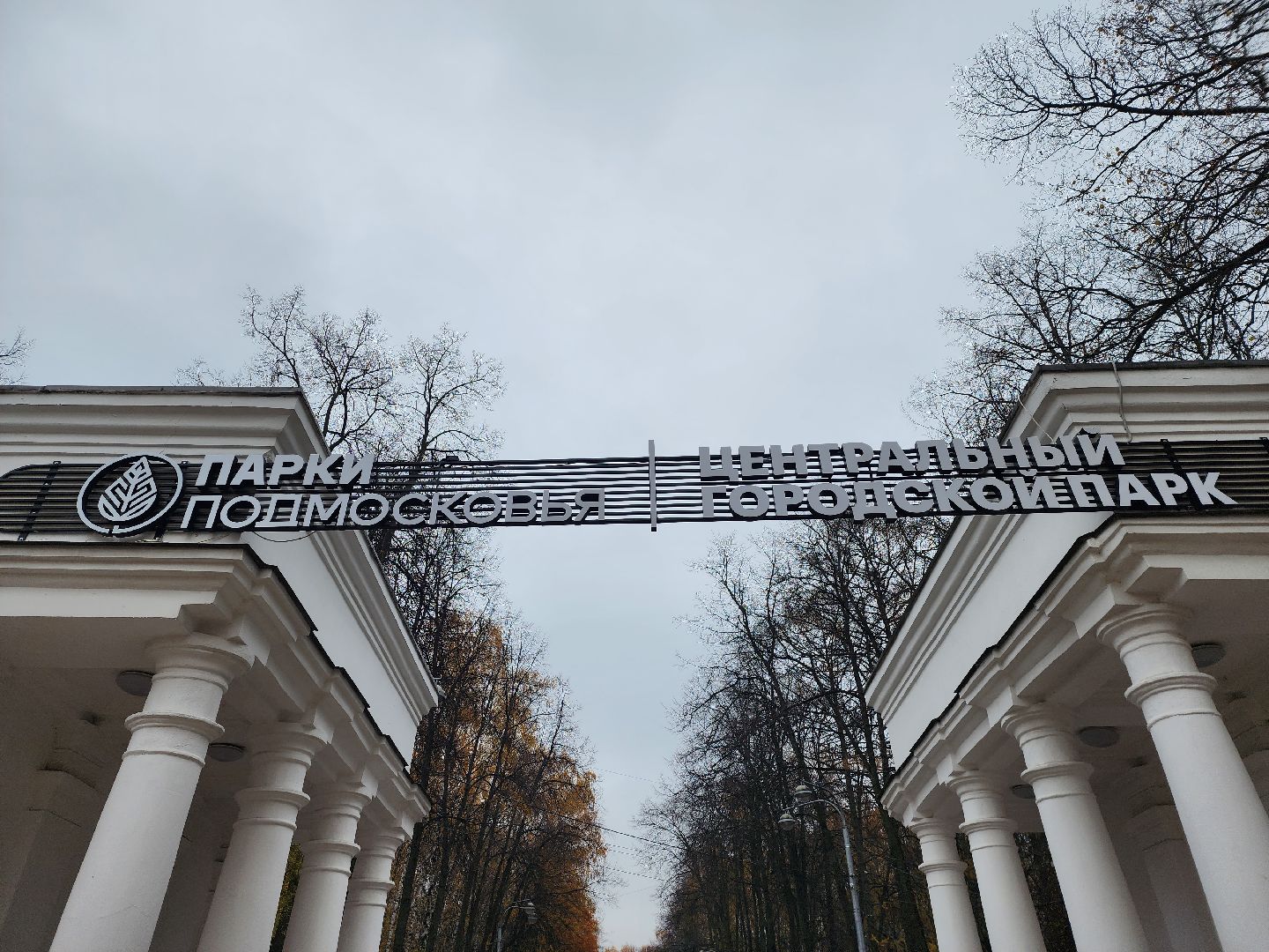 королёв, центральный парк, подготовка к зиме,