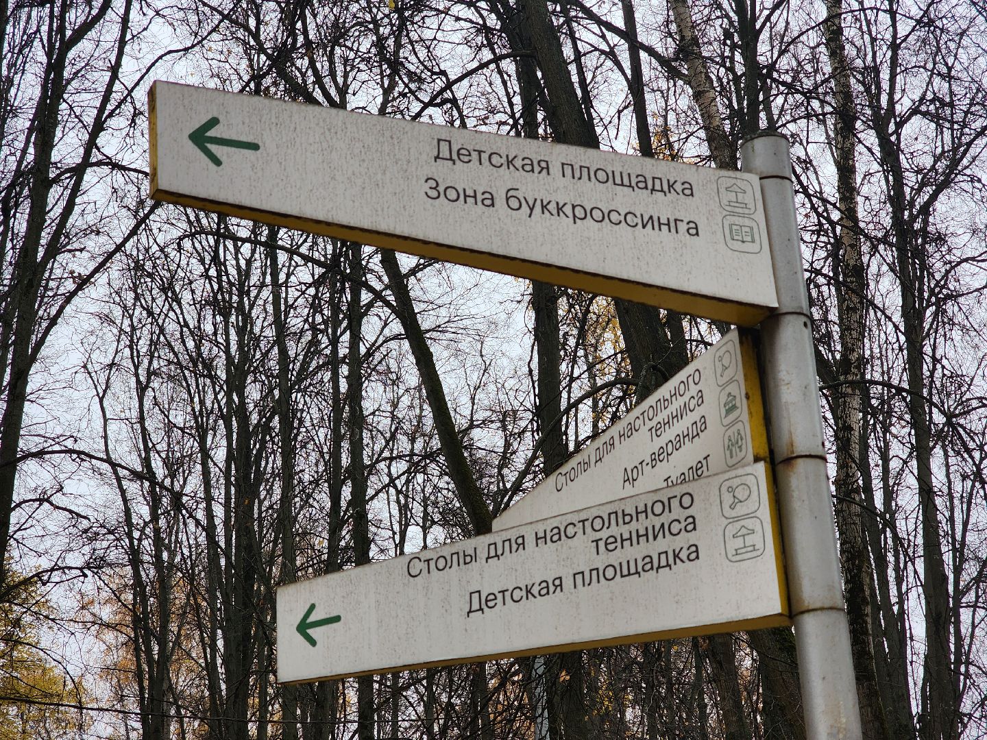 королёв, центральный парк, подготовка к зиме,