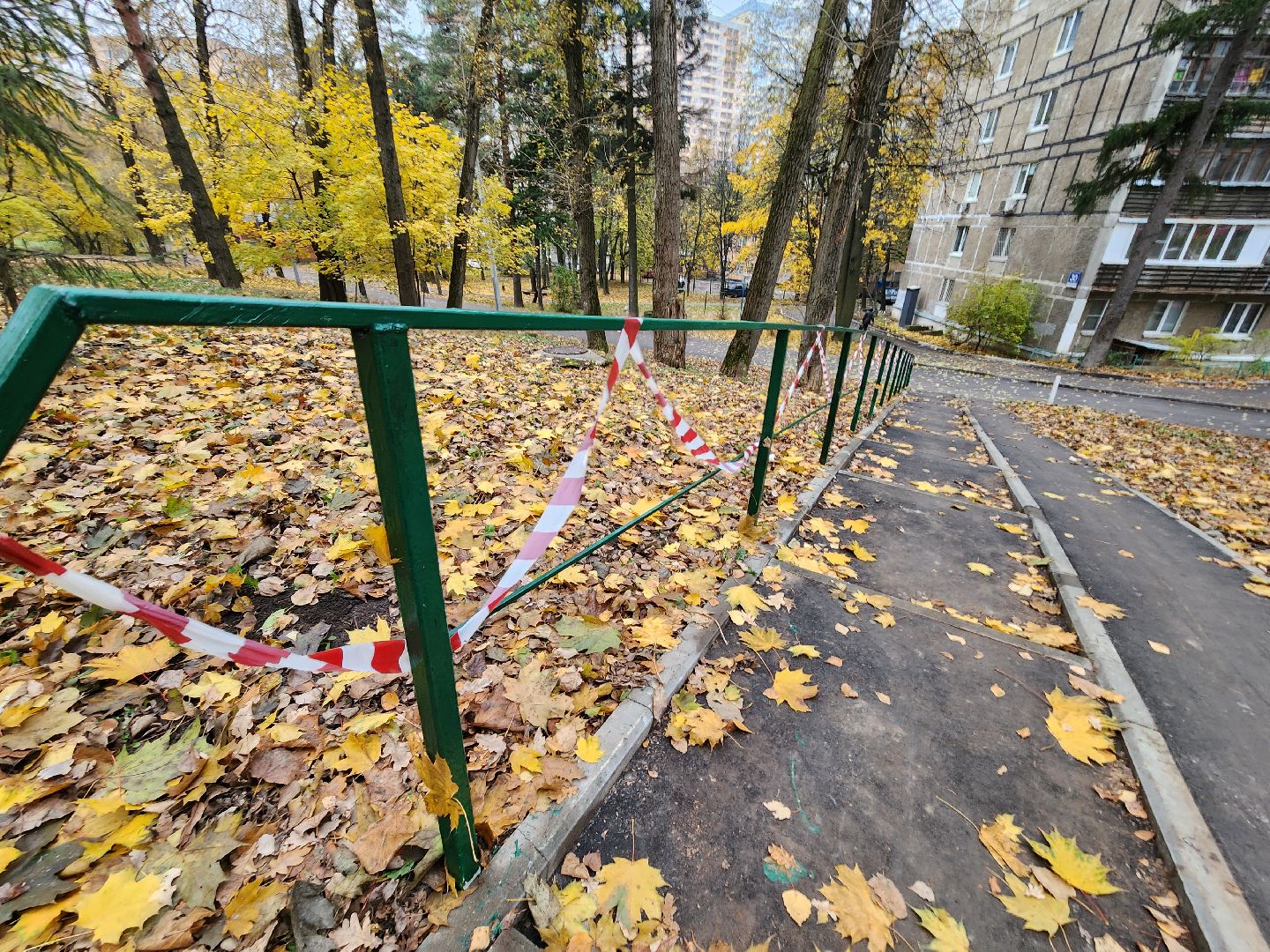 одинцово, благоустройство, поручни, двор,