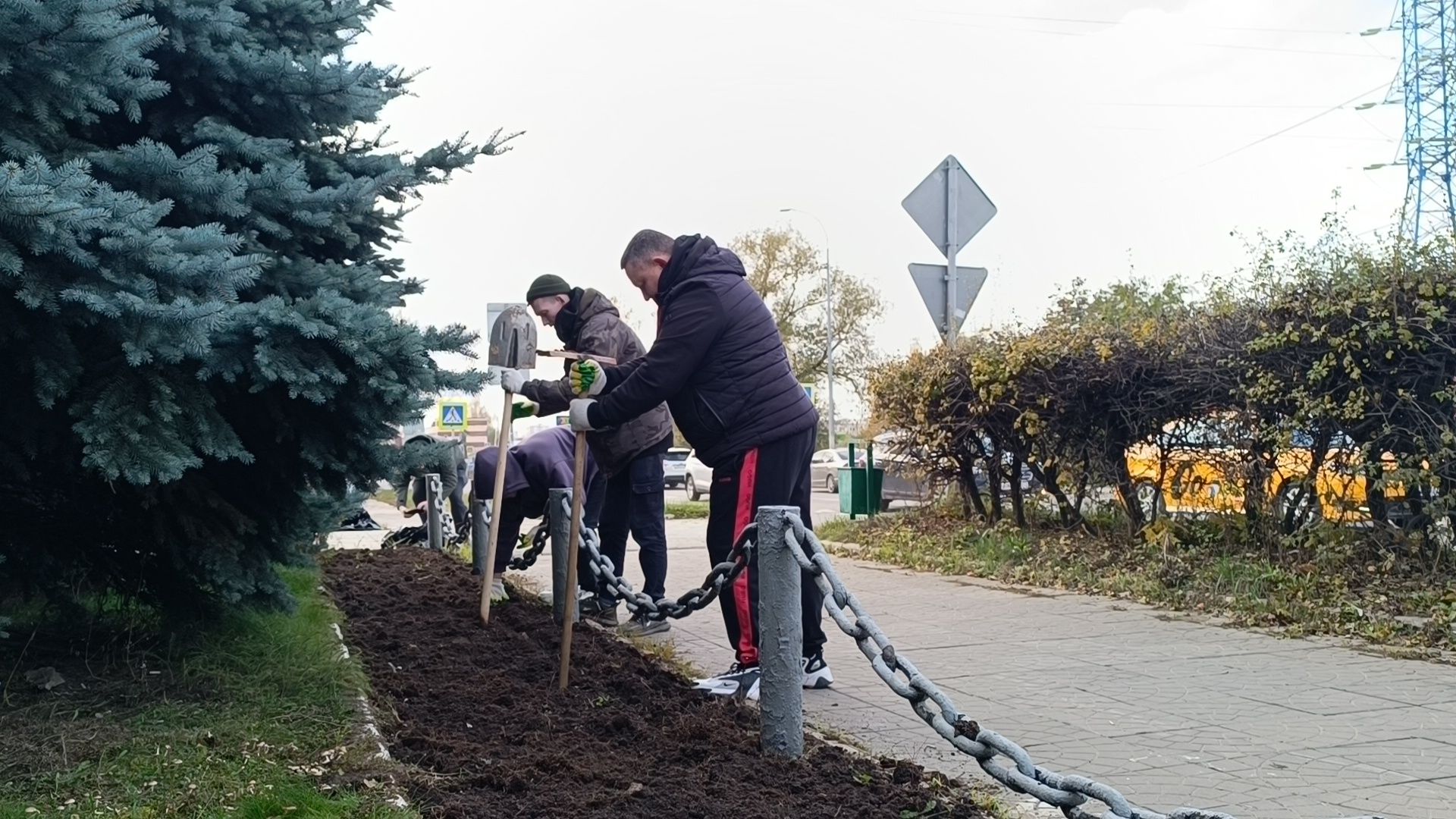 цветы, благоустройство, озеленение, лобня,