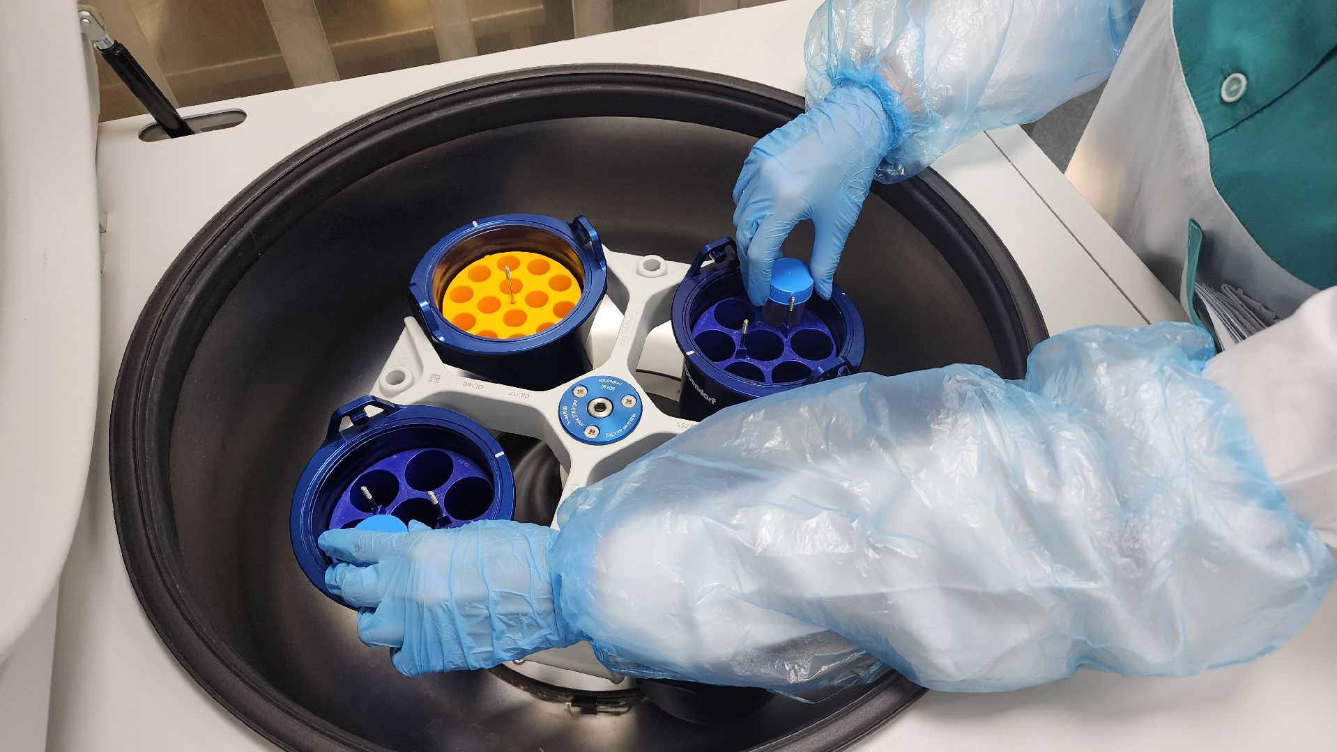 предприятие, молодые специалисты, Лосино-Петровский,