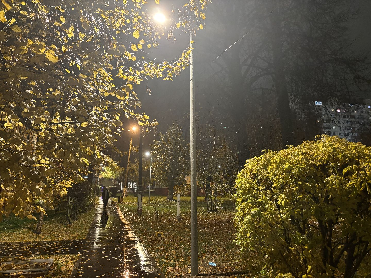 светлый город, освещение улиц, комфортная городская среда,