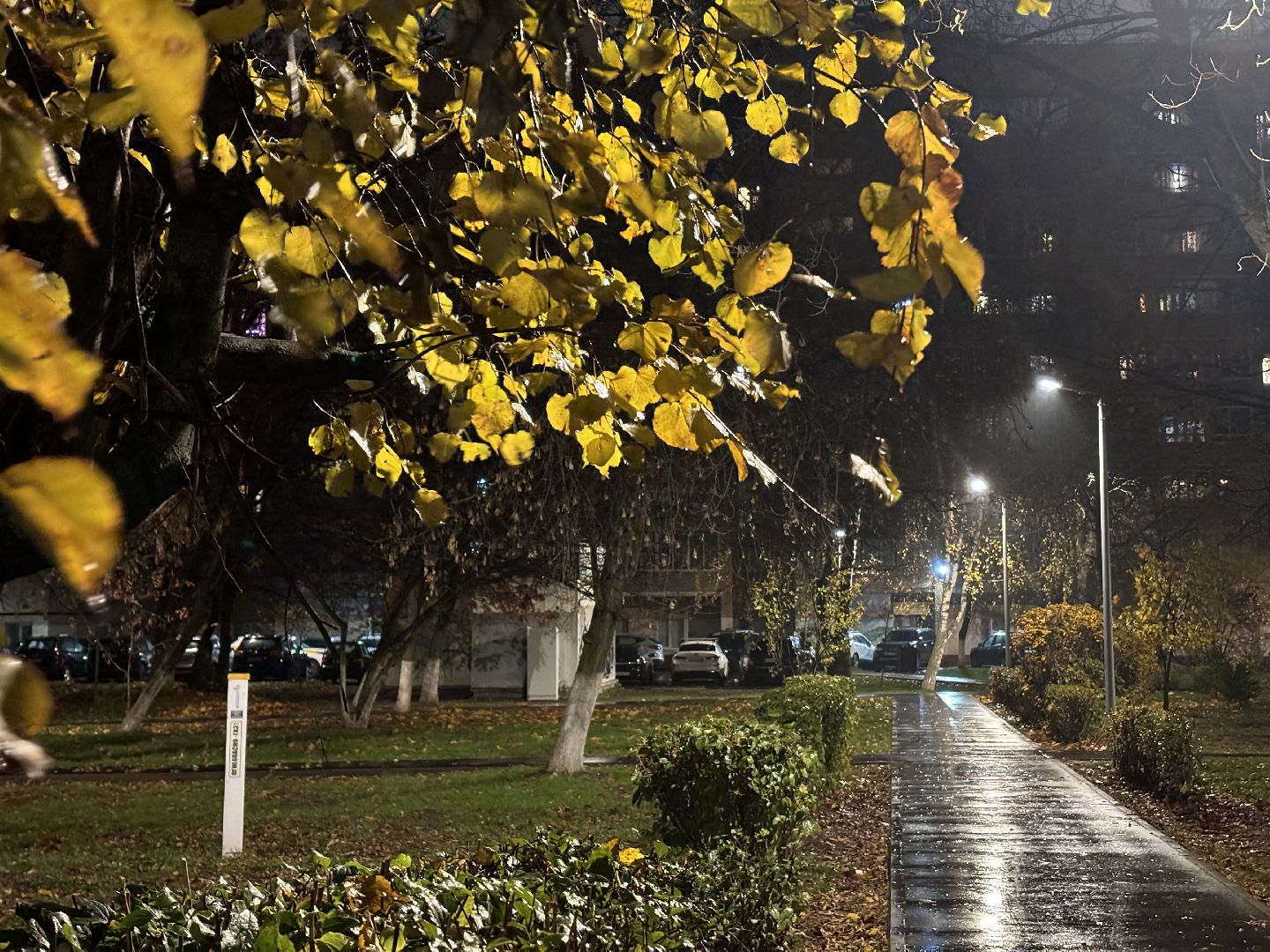 светлый город, освещение улиц, комфортная городская среда,