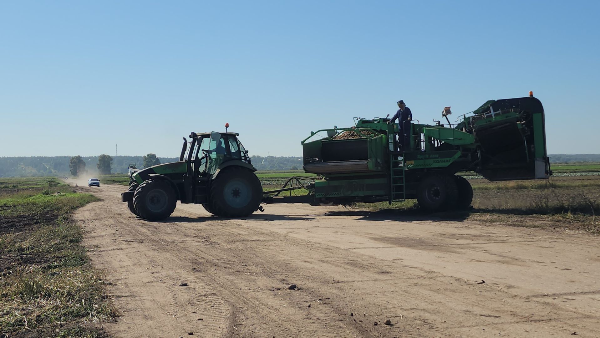 серпухов, ао дашковка, уборка урожая, капуста, сельское хозяйство,