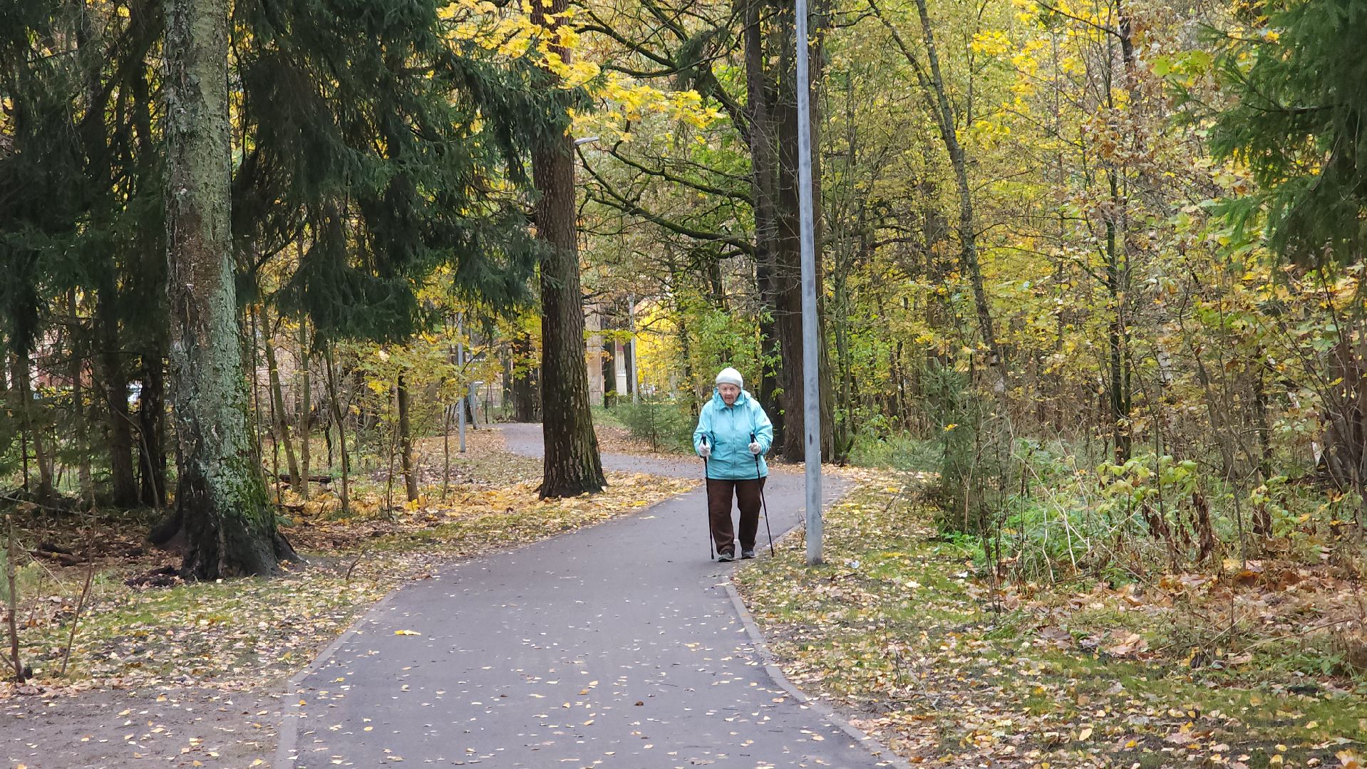 благоустройство, сквер, Лосино-Петровский,