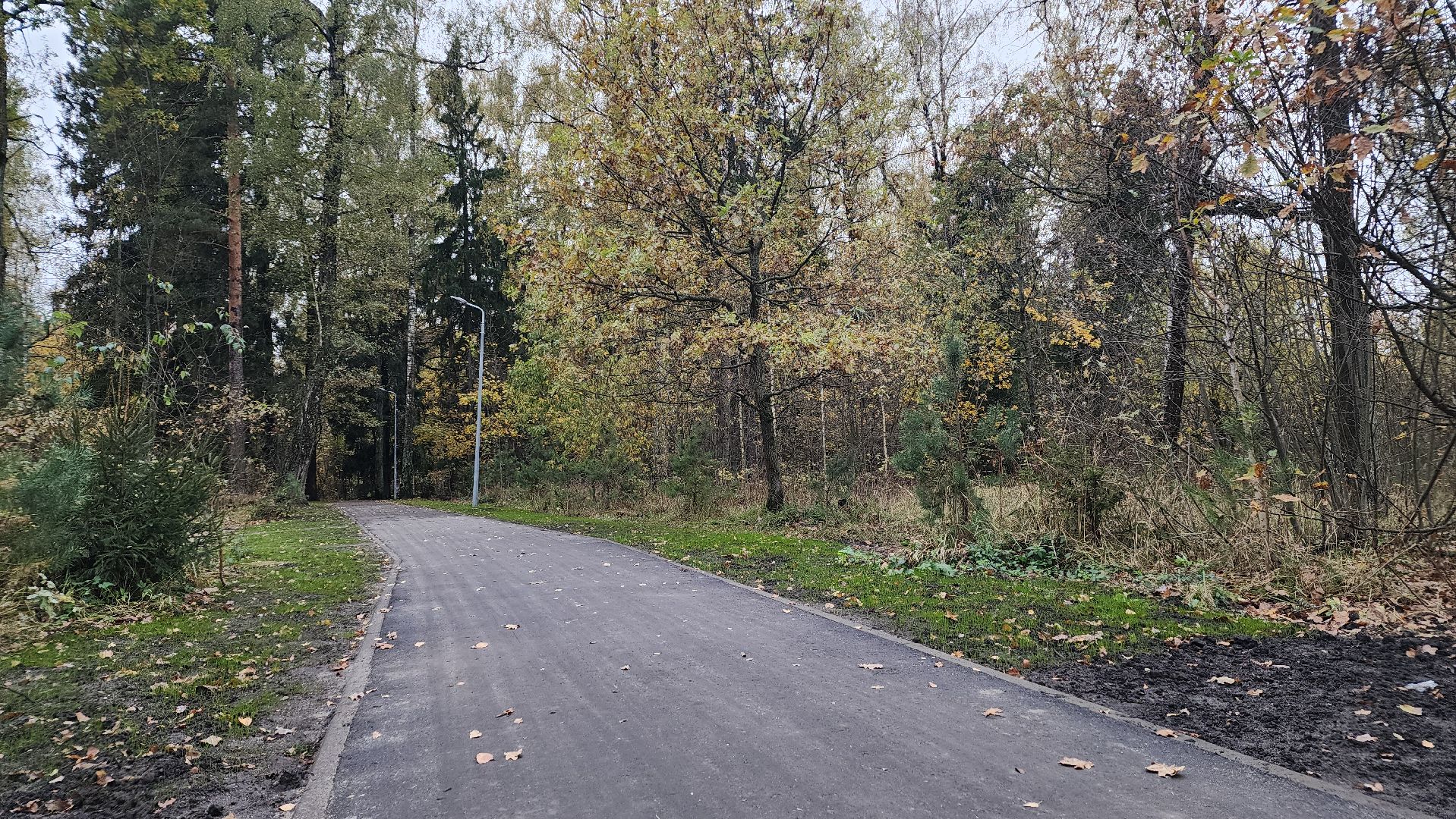 благоустройство, сквер, Лосино-Петровский,