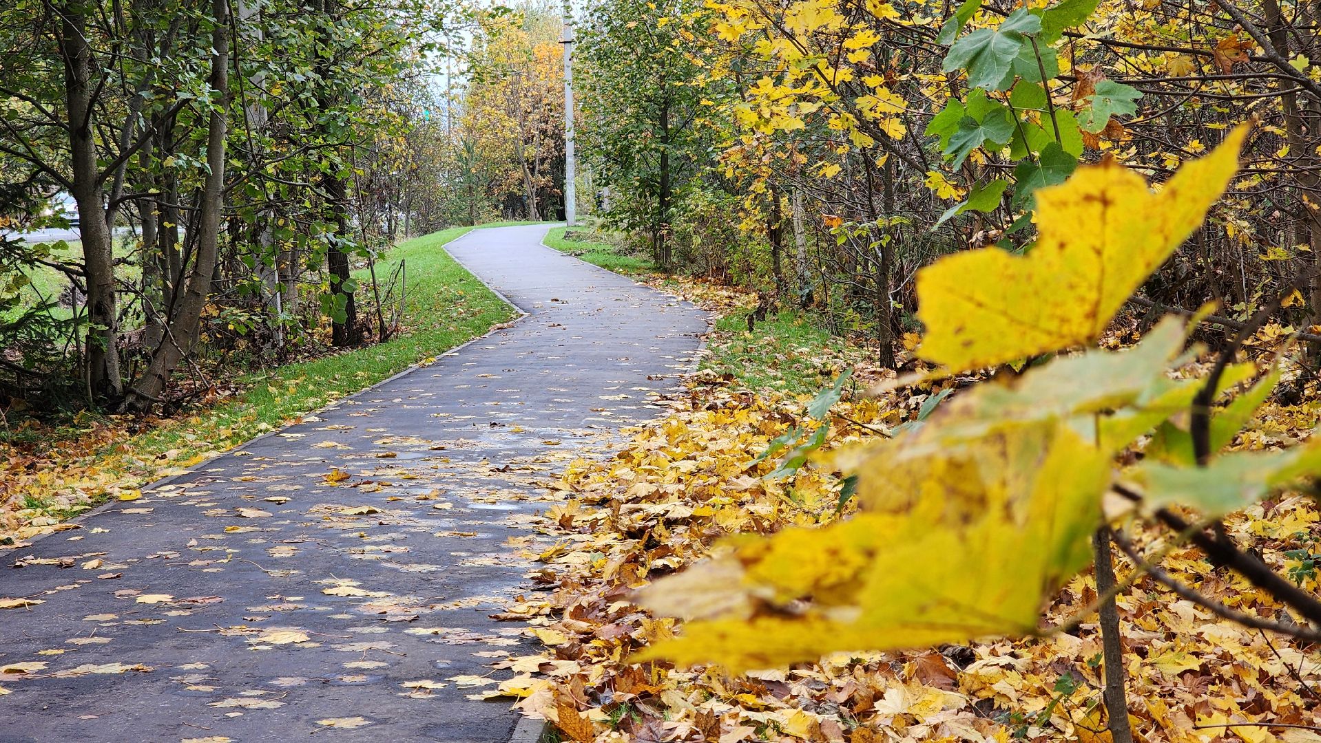 благоустройство, сквер, Лосино-Петровский,
