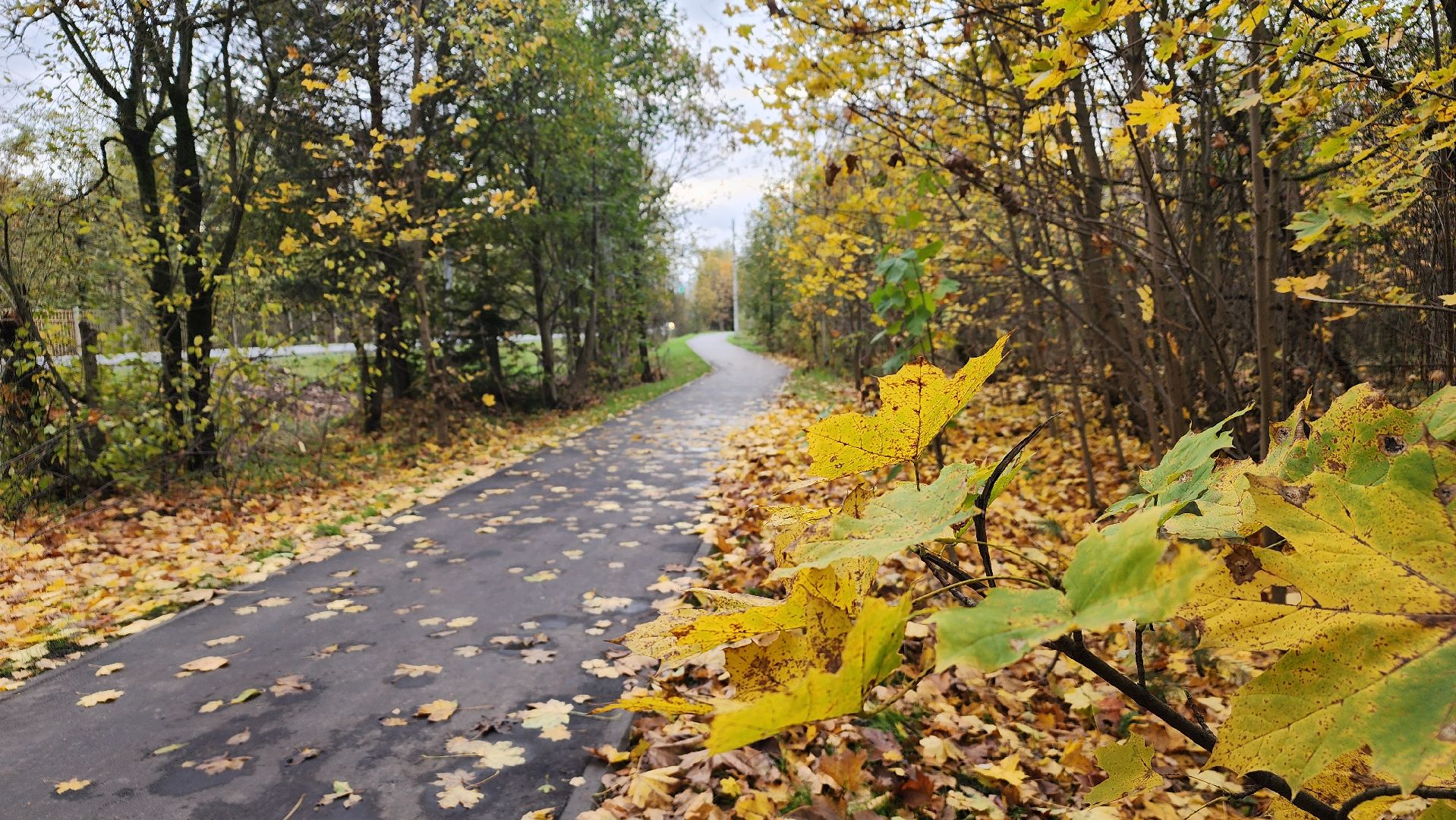 благоустройство, сквер, Лосино-Петровский,