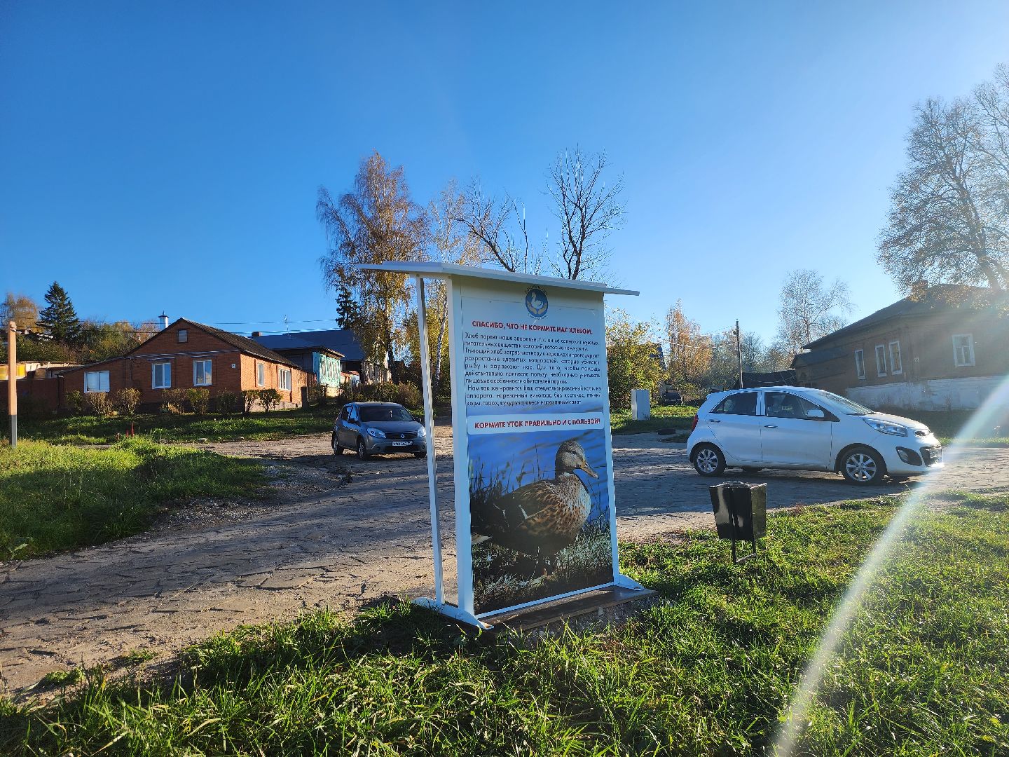 Зарайск, покорми уток, утки, корм для уток,