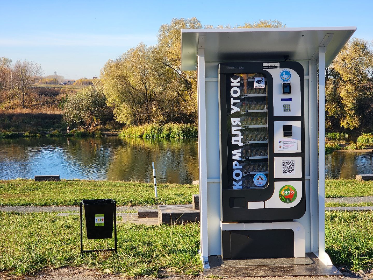 Зарайск, покорми уток, утки, корм для уток,