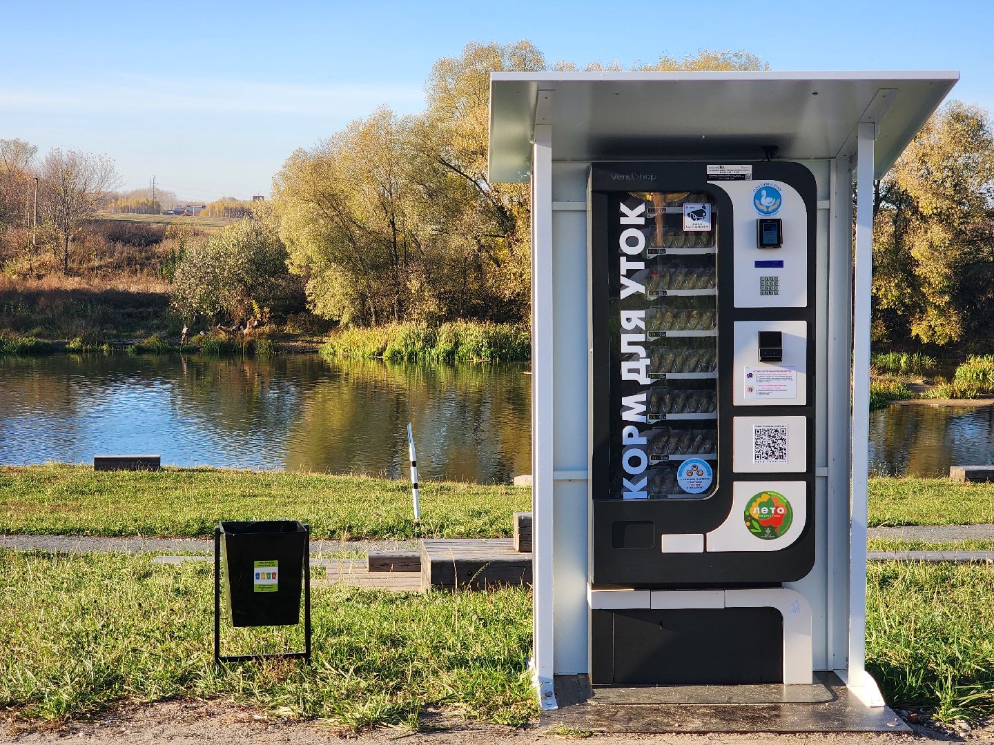 Зарайск, покорми уток, утки, корм для уток,