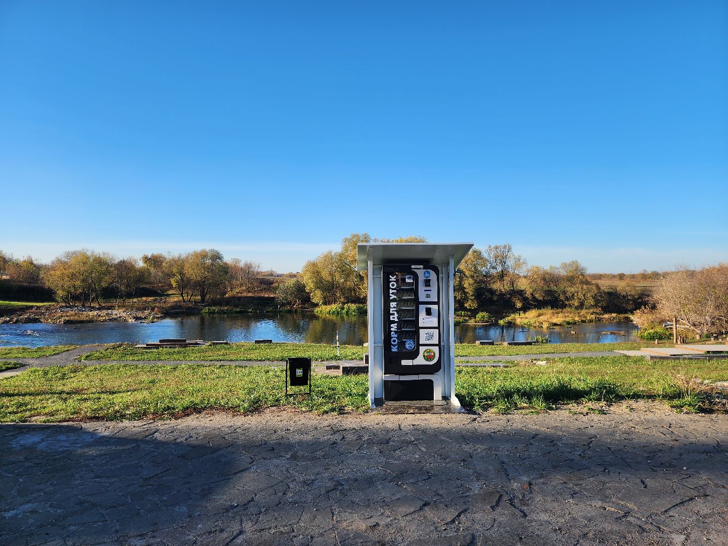 Зарайск, покорми уток, утки, корм для уток,