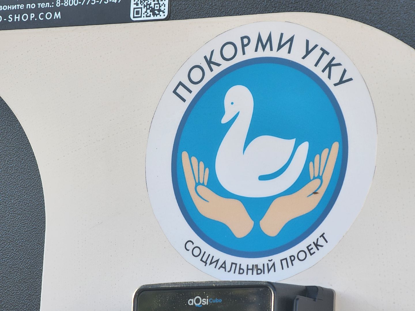 Зарайск, покорми уток, утки, корм для уток,