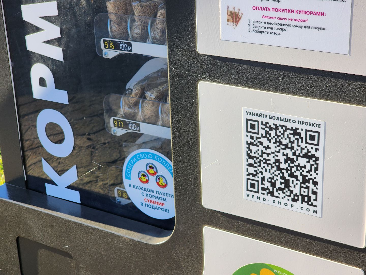 Зарайск, покорми уток, утки, корм для уток,