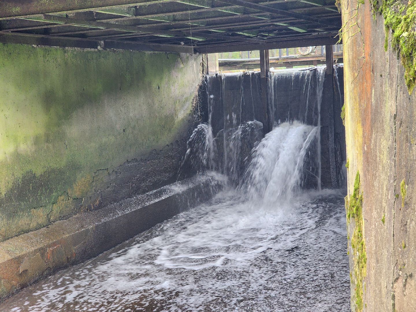 одинцово, Назарьево, плотина, река, капитальный ремонт,
