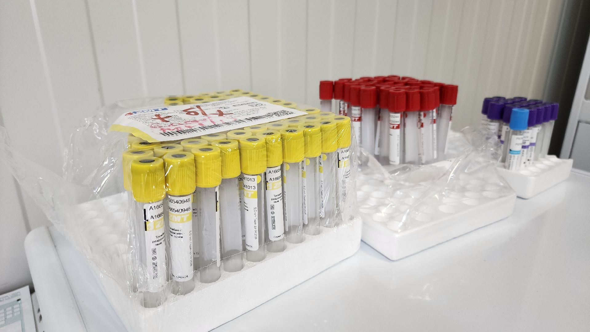 кашира, народный доктор, голосование,