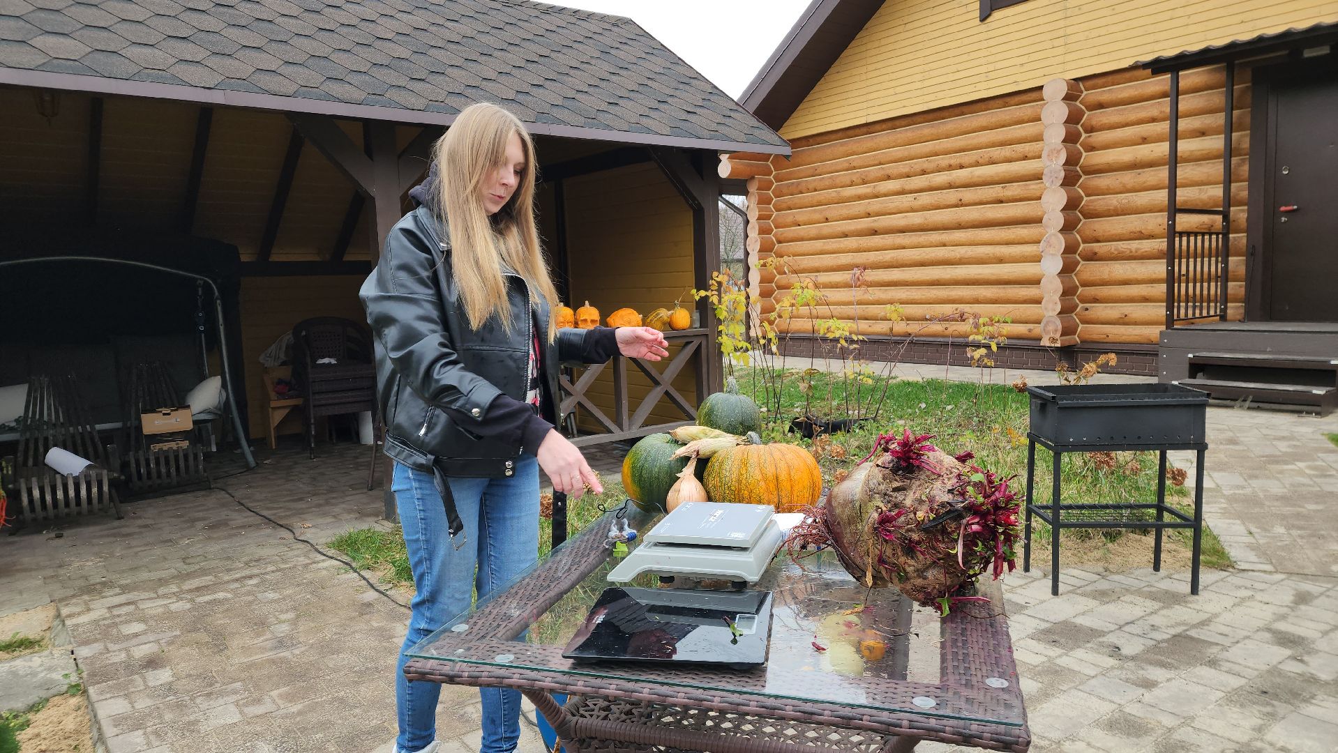 ступино, рекорд россии, свекла-рекордсмен,сельское хозяйство,