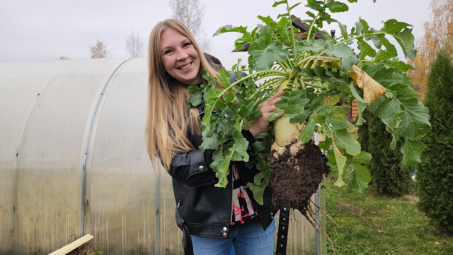 ступино, рекорд россии, свекла-рекордсмен,сельское хозяйство,