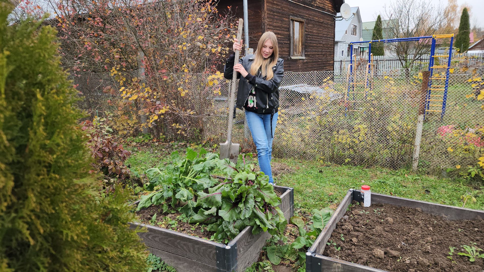 ступино, рекорд россии, свекла-рекордсмен,сельское хозяйство,