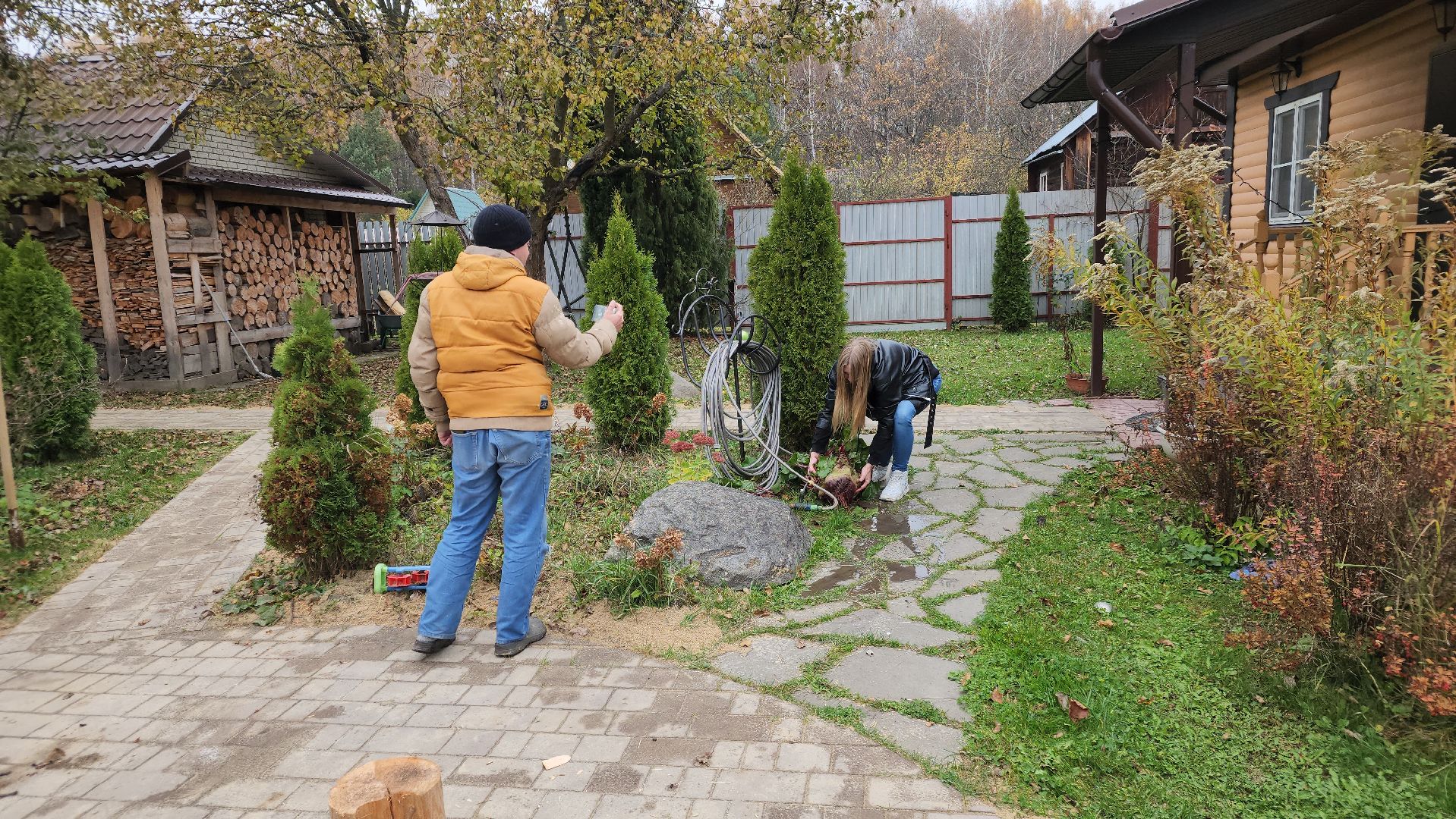 ступино, рекорд россии, свекла-рекордсмен,сельское хозяйство,