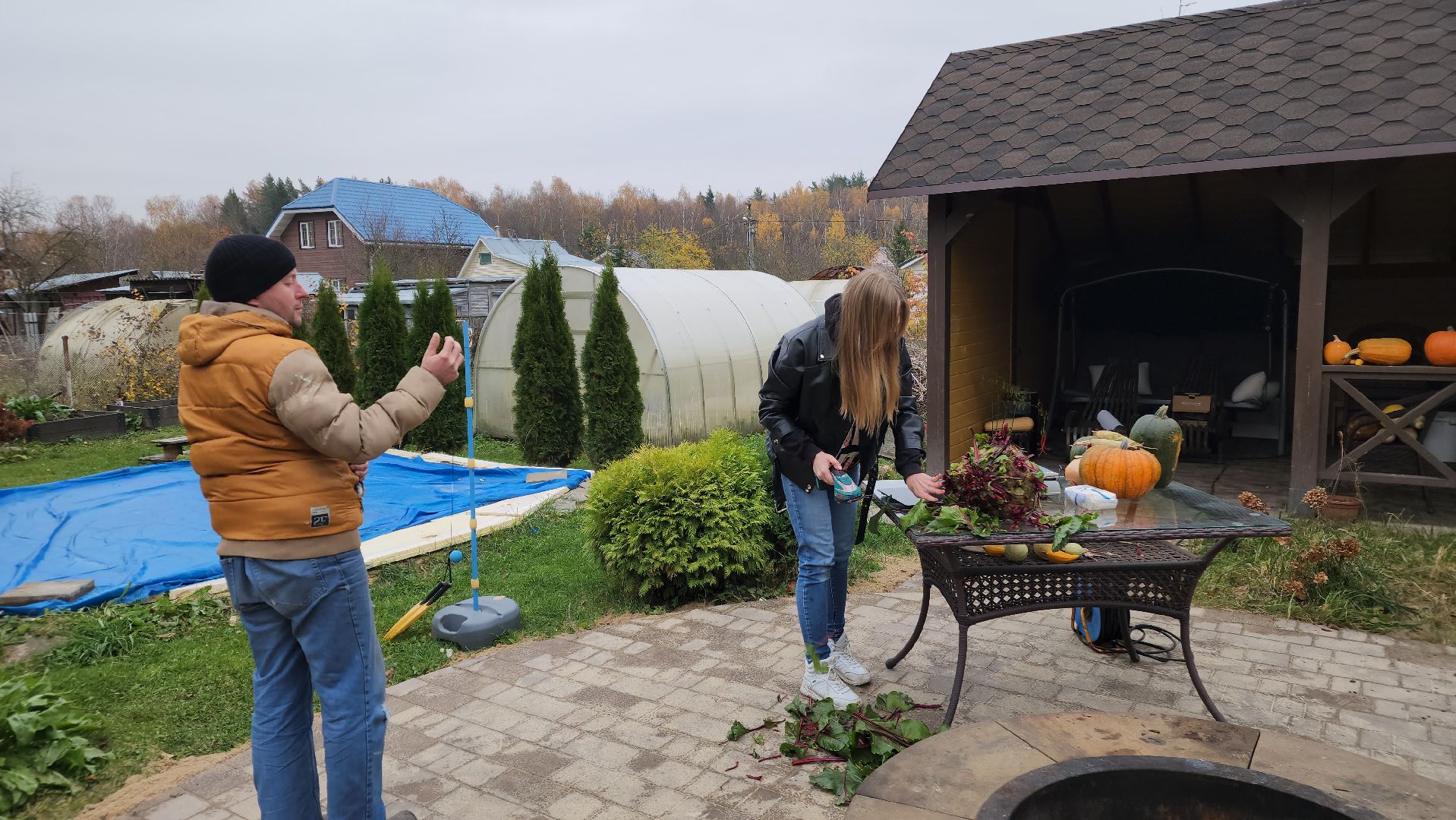 ступино, рекорд россии, свекла-рекордсмен,сельское хозяйство,