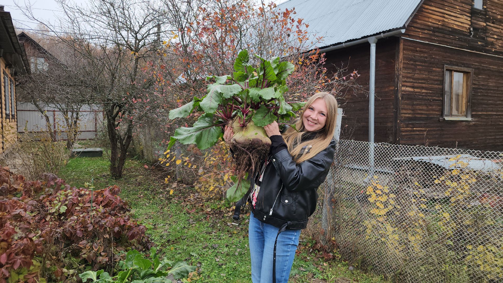 ступино, рекорд россии, свекла-рекордсмен,сельское хозяйство,