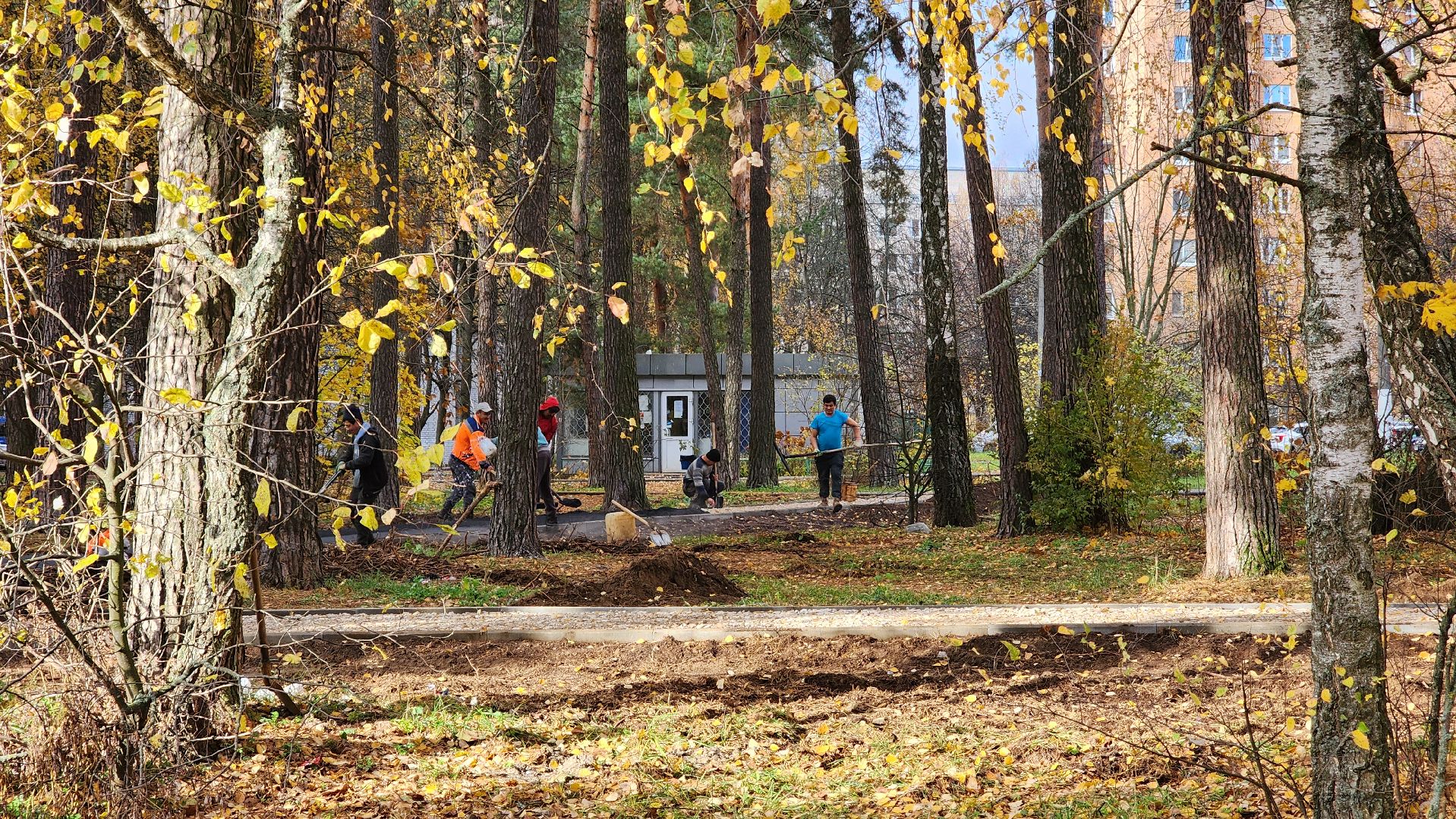 протвино, серпухов, тропиночная сеть, благоустройство, кбдт,