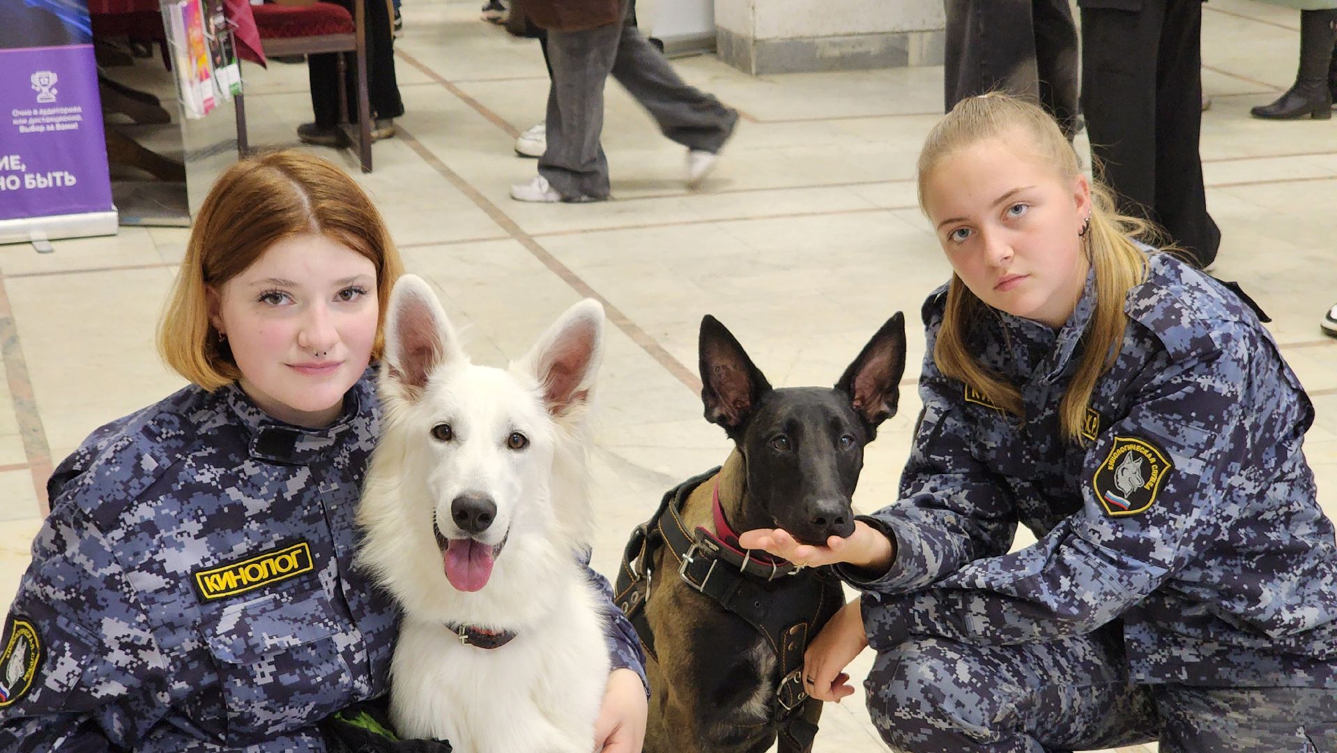 протвино, серпухов, профориентация молодежи, фестиваль профессий, профессиональное образование,